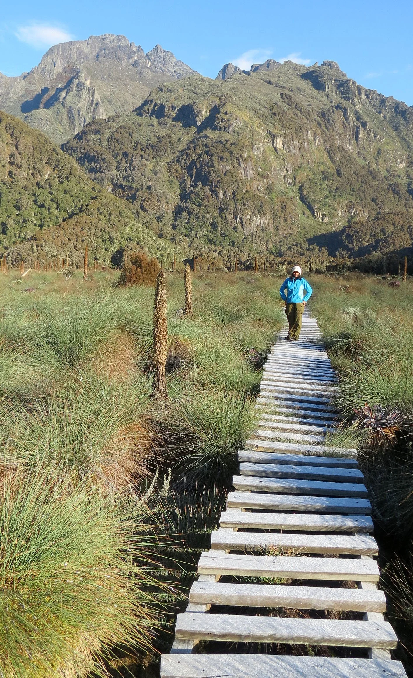 RWENZORI NATIONAL PARK UGANDA (257).JPG