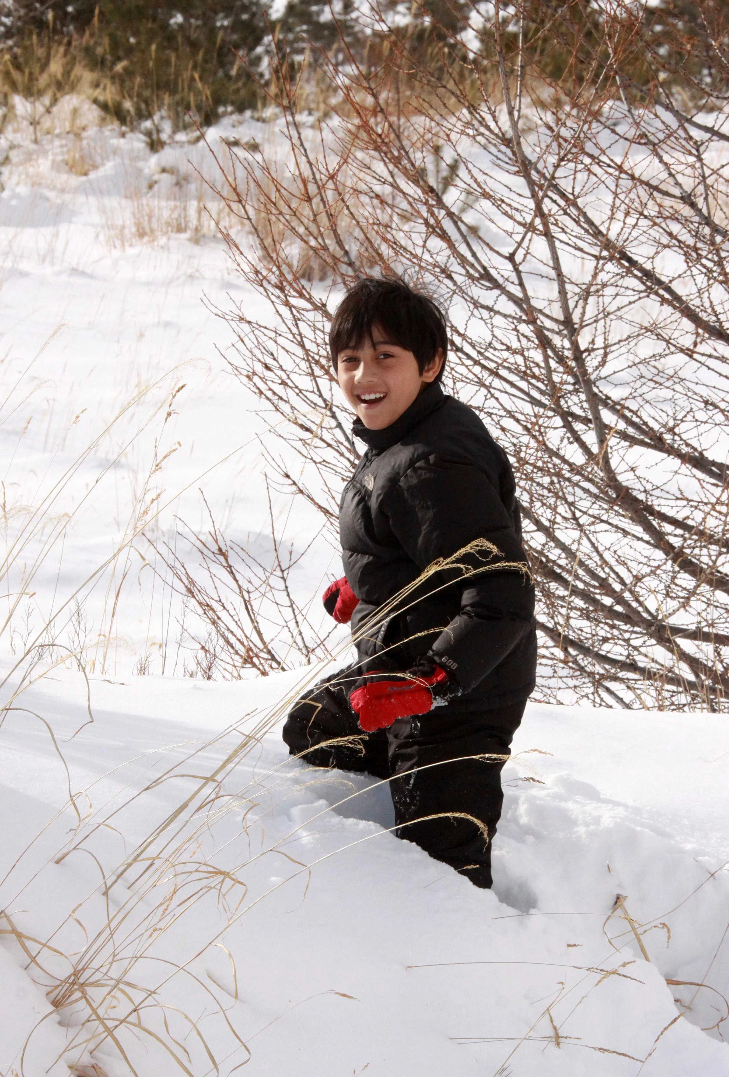 MOUNT ASAMA - JOSHIN'ETSUKOGEN NATIONAL PARK JAPAN (12).JPG