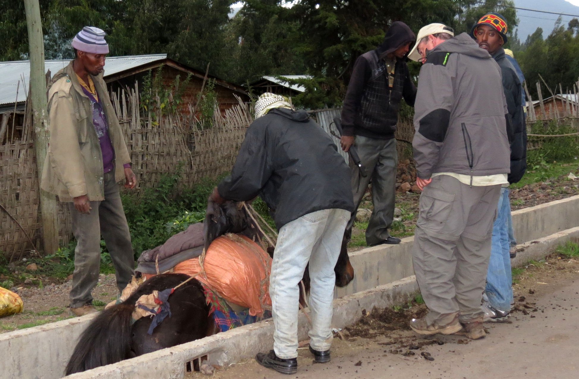 BALE MOUNTAINS NATIONAL PARK ETHIOPIA - GOBA TOWN (72).JPG