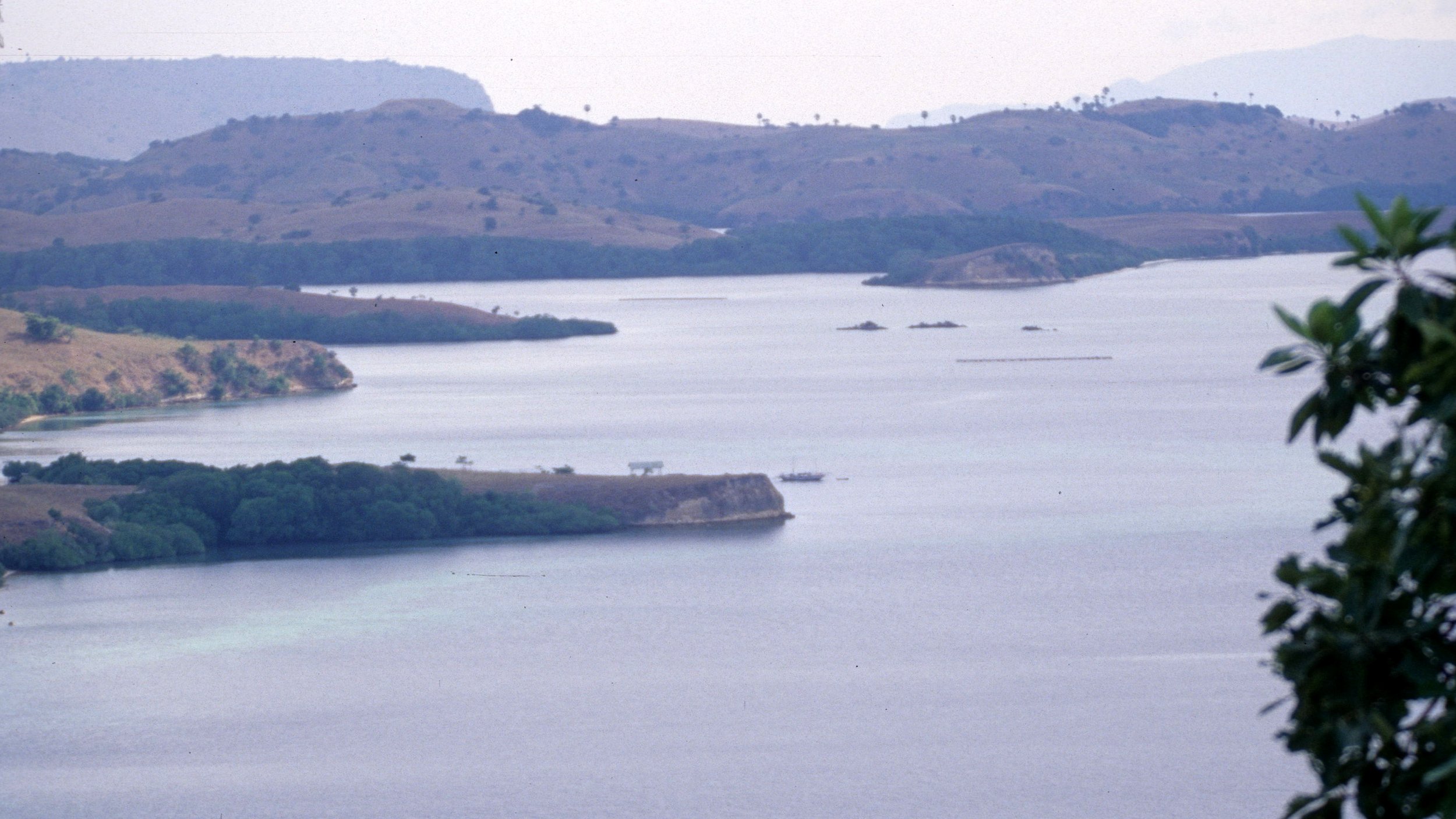 KOMODO - VIEW OF RINJA ISLAND A.jpg