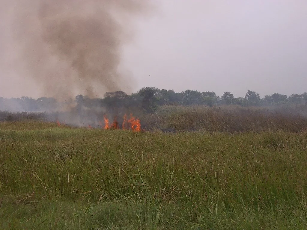 2004 Nakhonsithammarat with Family  (16).JPG
