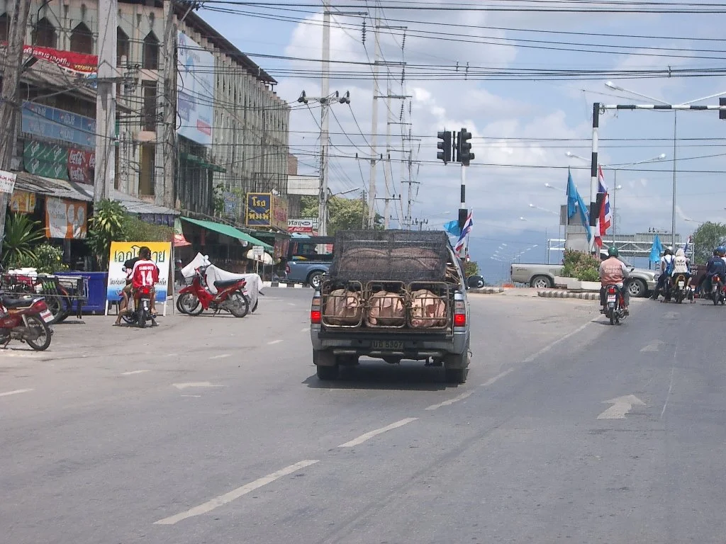 2004 Nakhonsithammarat with Family  (81).JPG