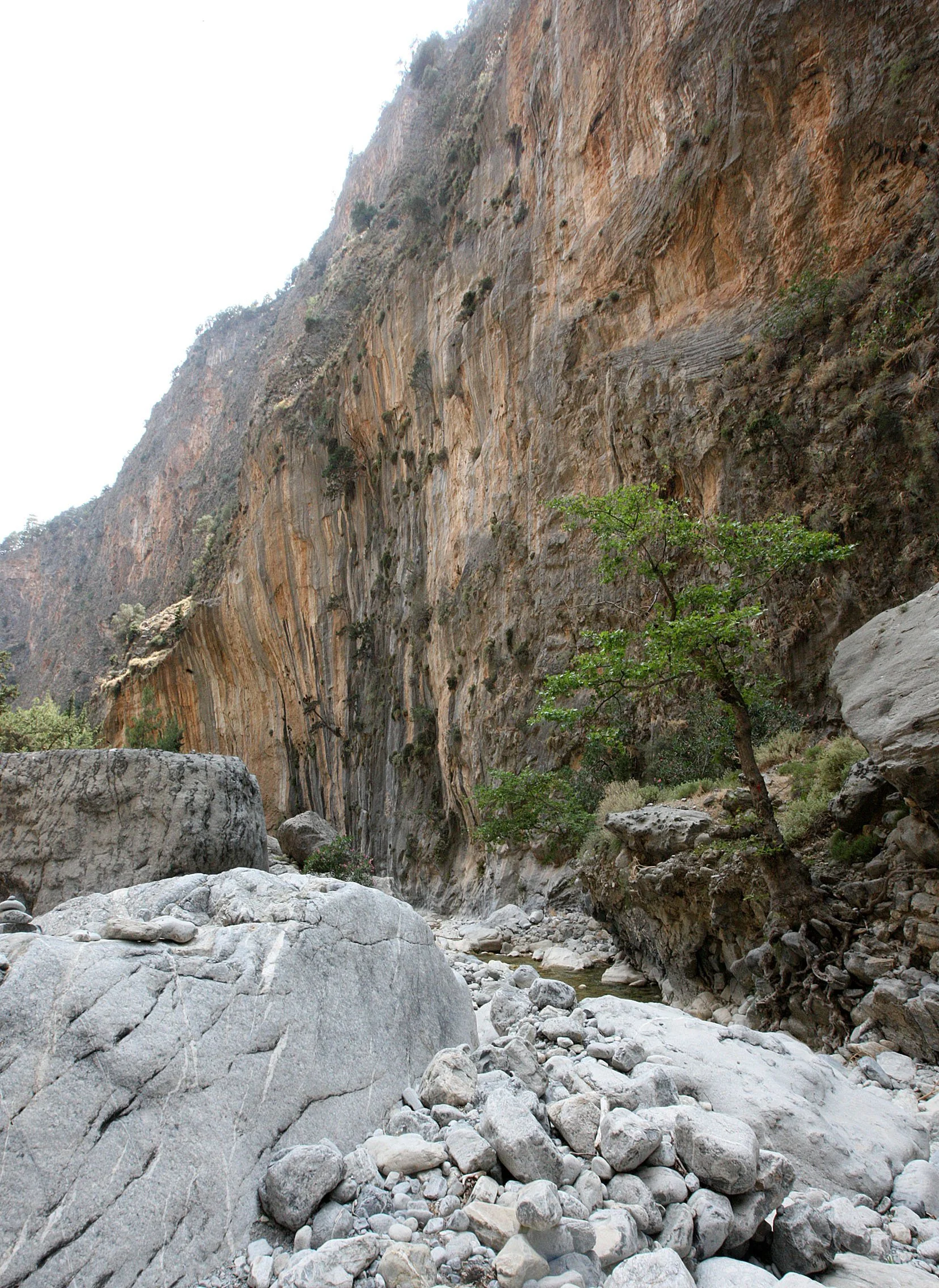 SAMARIA GORGE NATIONAL PARK CRETE (97).JPG