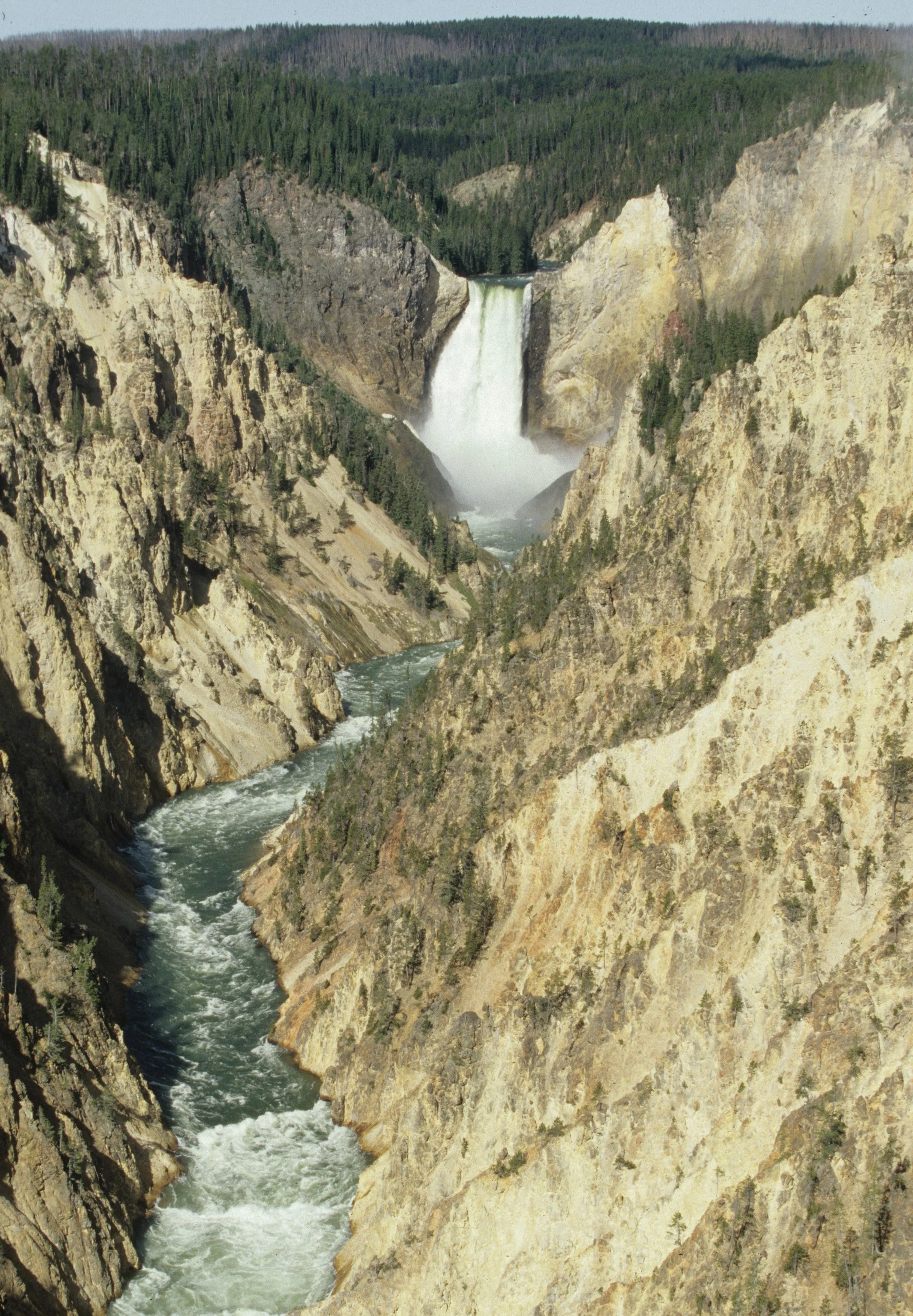 YELLOWSTONE - CANYON VIEW C.jpg