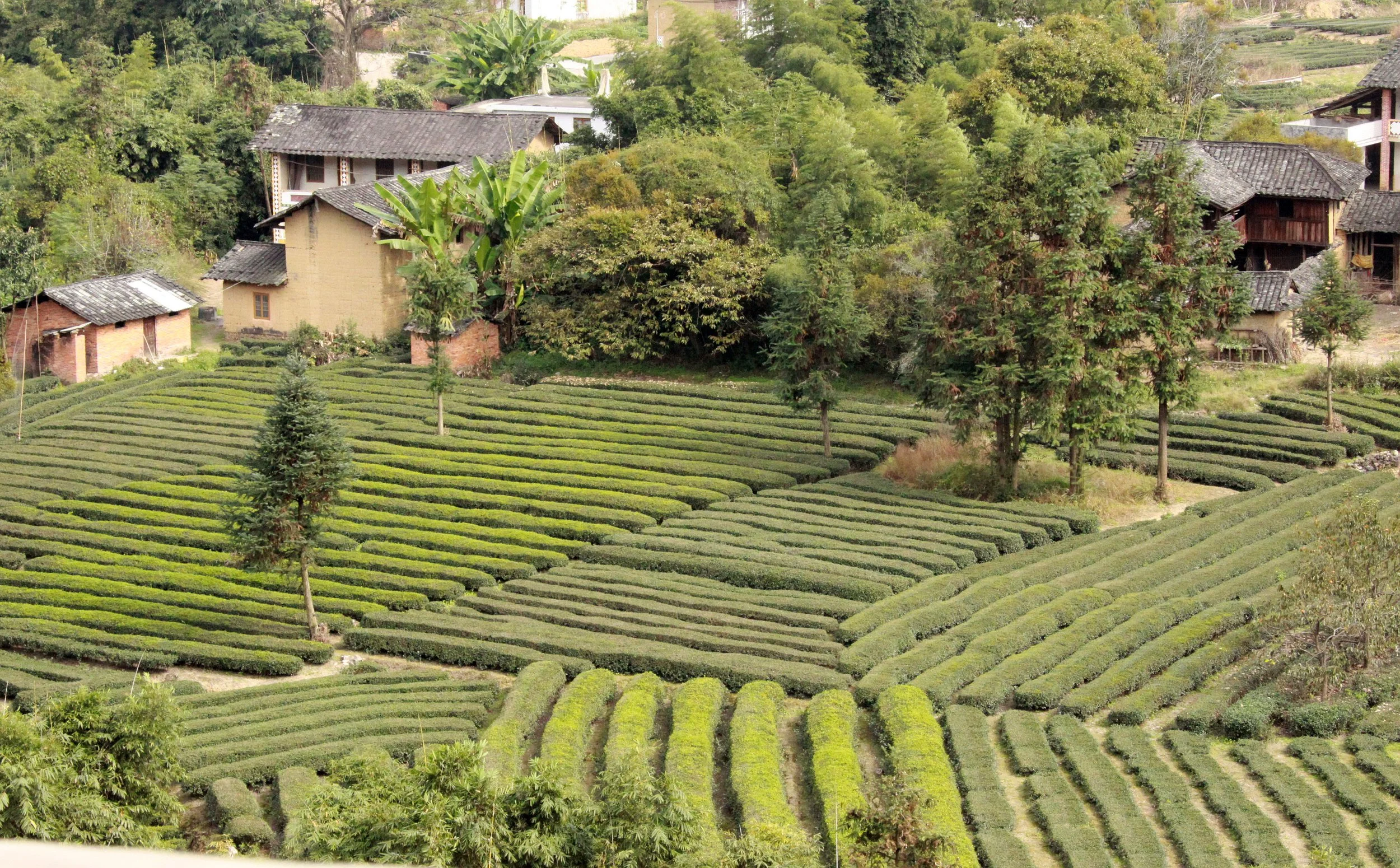 TIANLOUKENG HAKKA CLUSTER - FUJIAN CHINA (4).JPG
