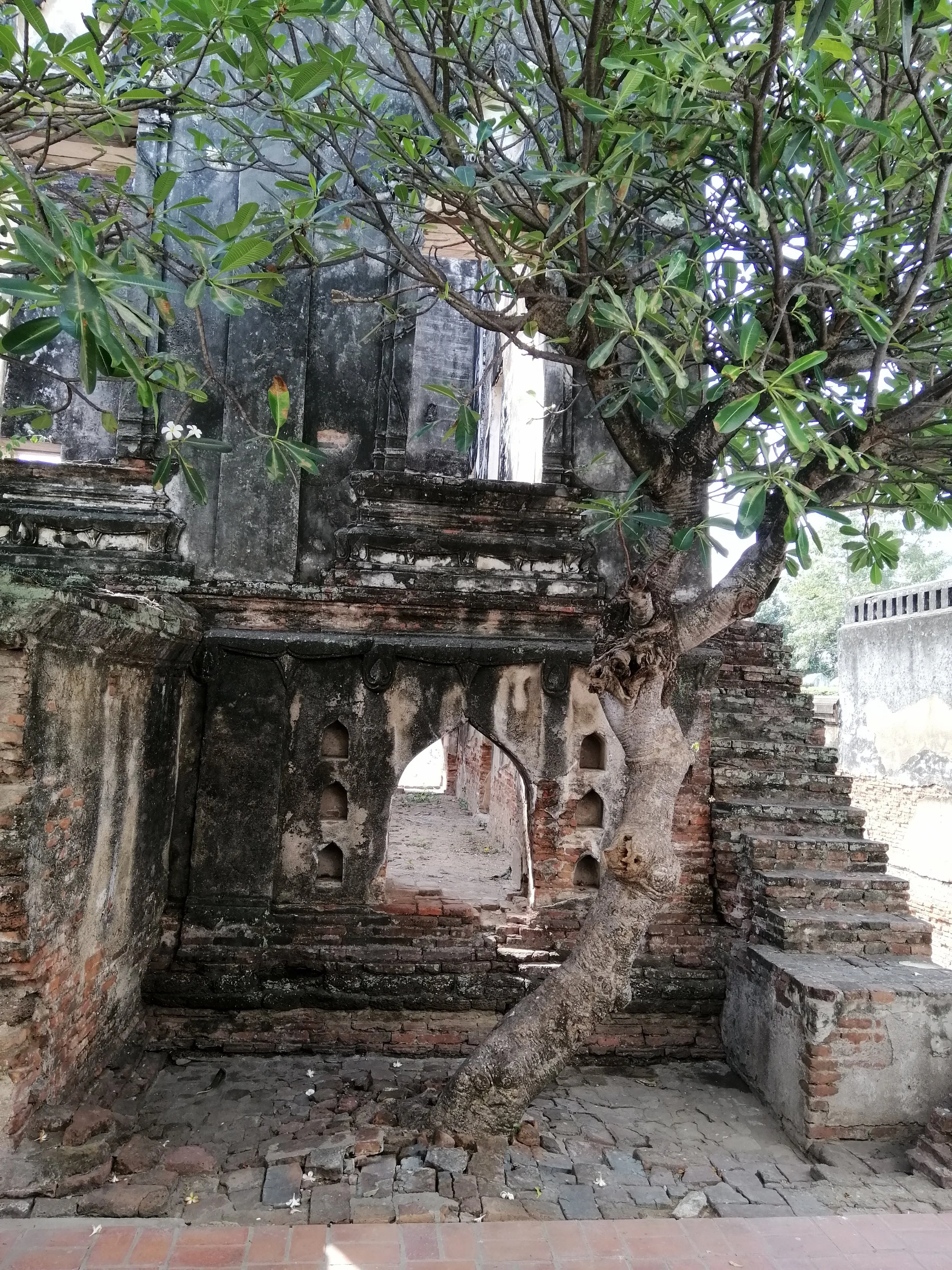 2020 Lopburi City and Temples with Cokie (38).jpg