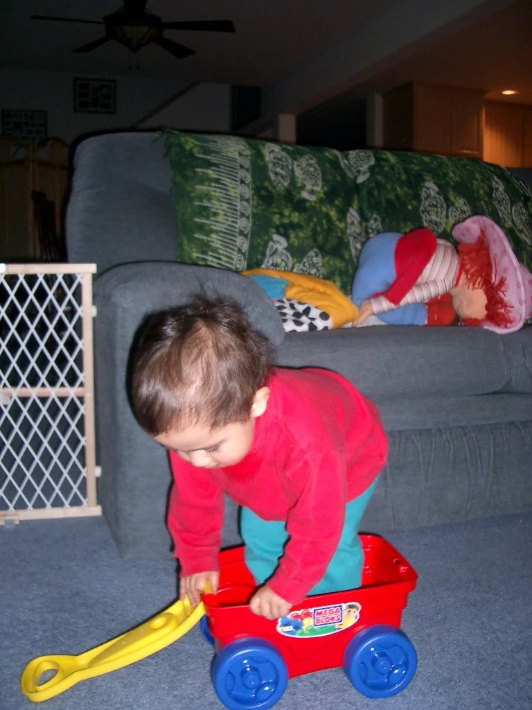 2003-11-16 COKIE PLAYING AT HOME (25).JPG