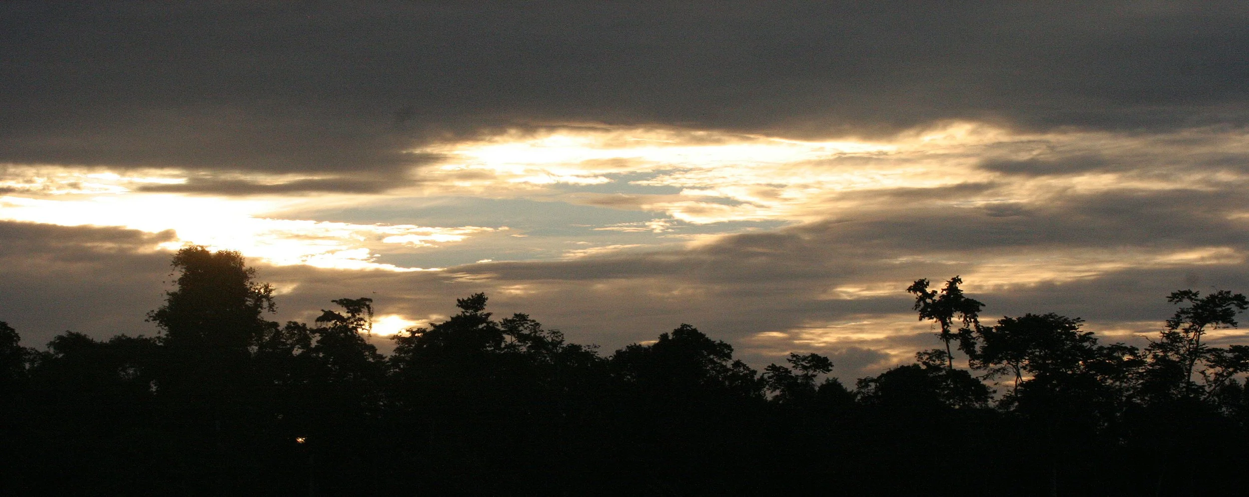 KINABATANGAN RIVER BORNEO - SUNSET SPECTACULAR (7).JPG