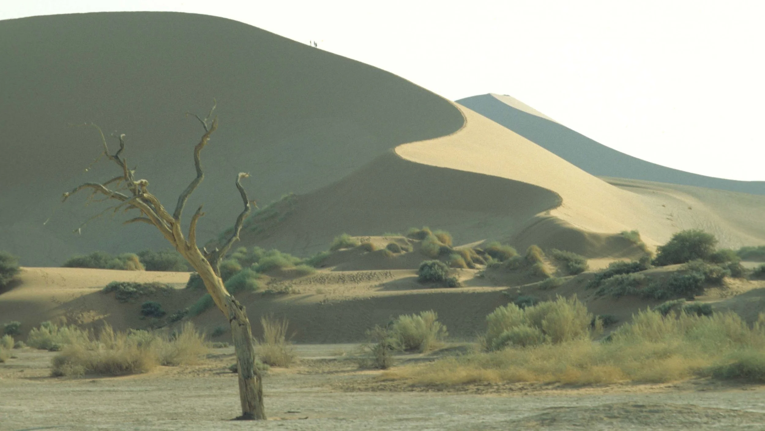 NAMIB DESERT SAND DUNES 3.jpg