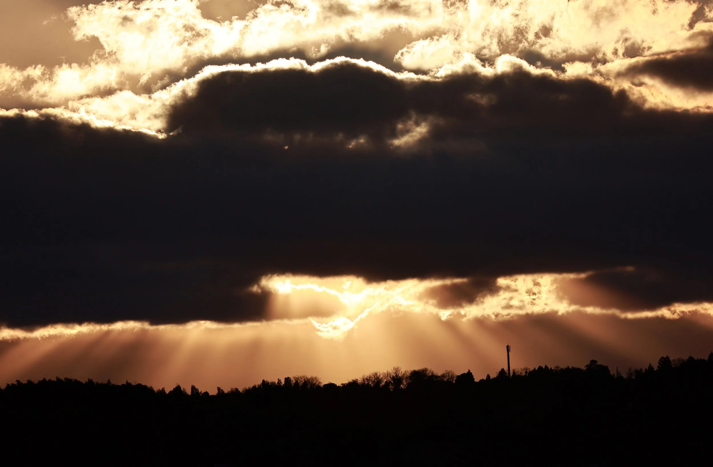 Izumi Crane Park & Center, Izumi Kagoshima Kyushu Japan (37).jpg