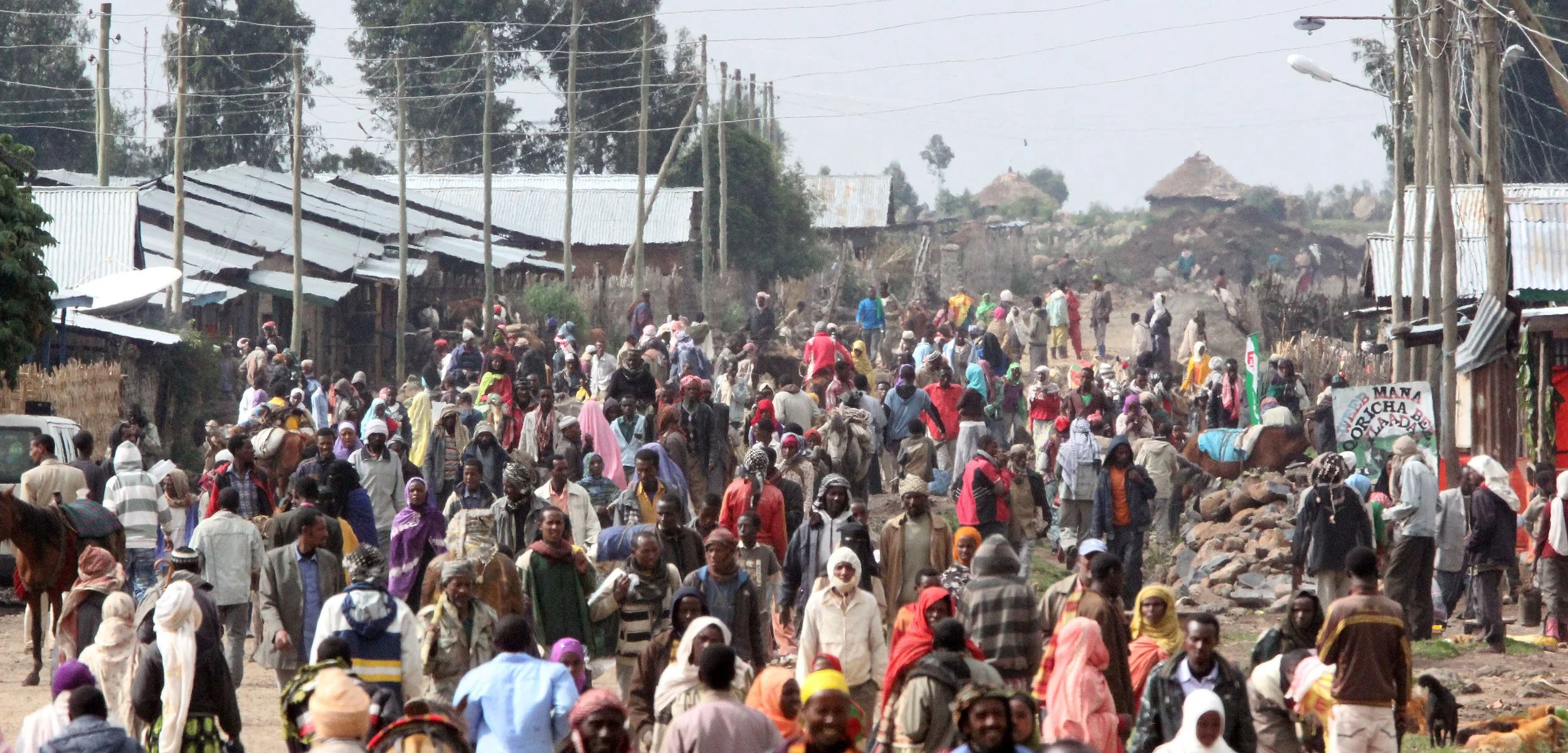 BALE MOUNTAINS NATIONAL PARK - DINSHO -  ETHIOPIA (161).JPG