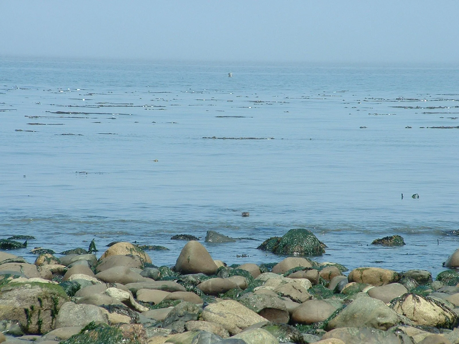 2003-8-1 WASHINGTON VISIT FROM ROBINSONS ET AL (28).JPG