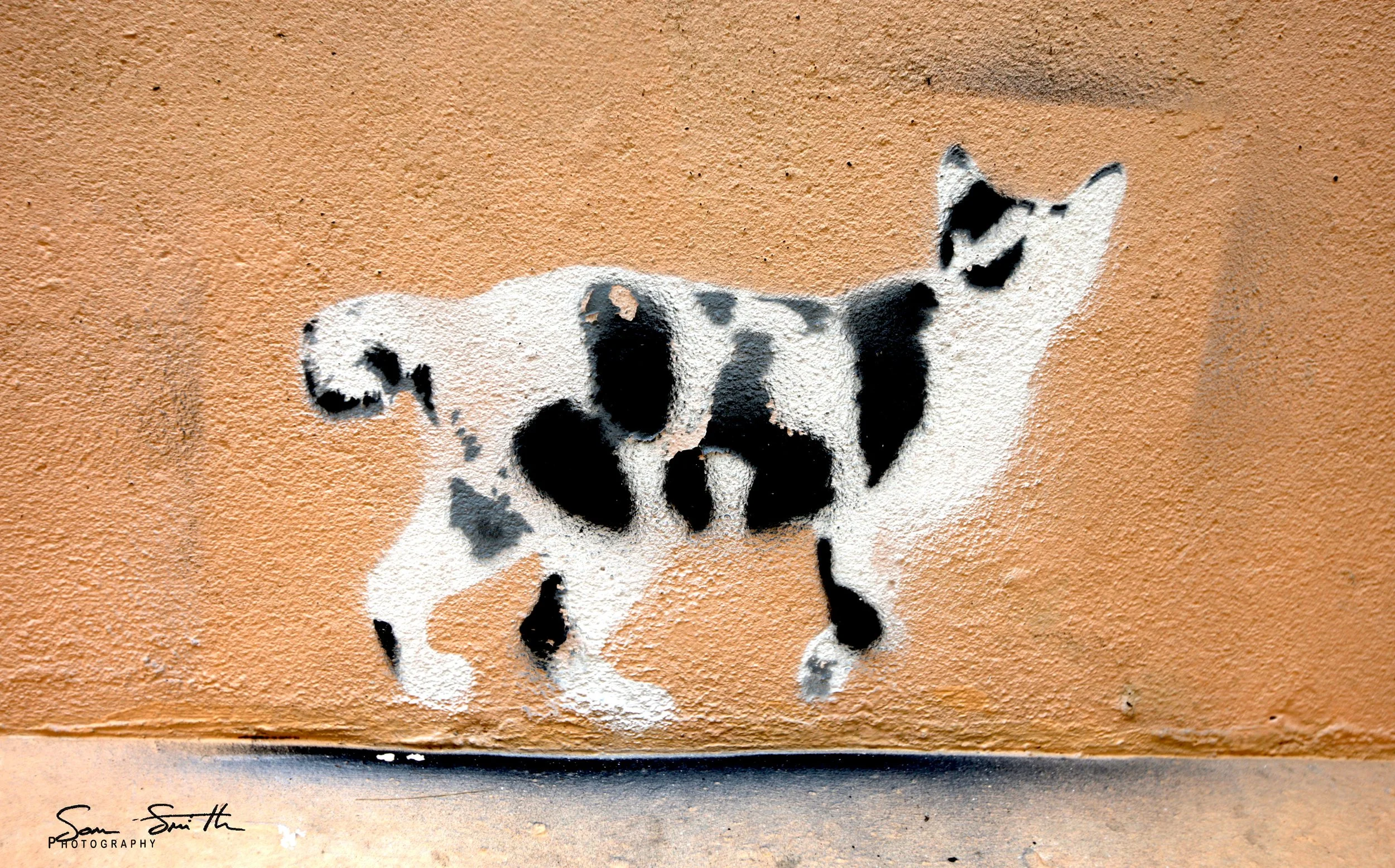 2017 Graffiti Tour in Bangkok (245).JPG