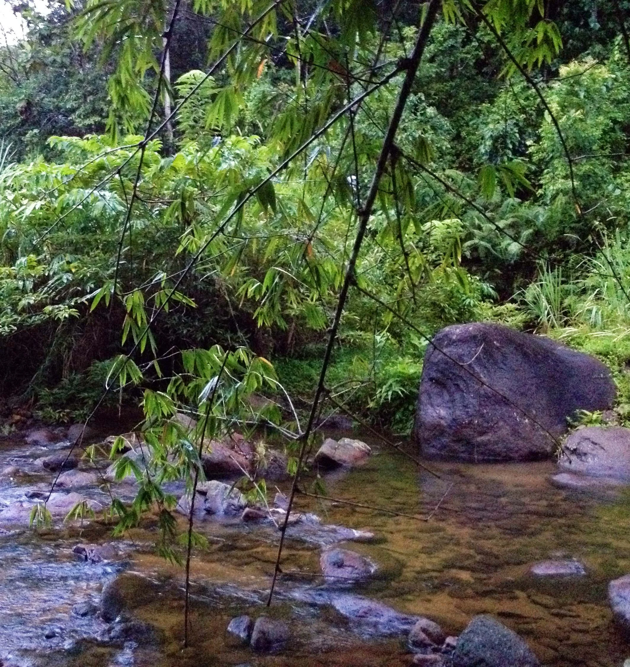 2013 in Nakhonsithammarat and some Krabi with Family (261).jpg