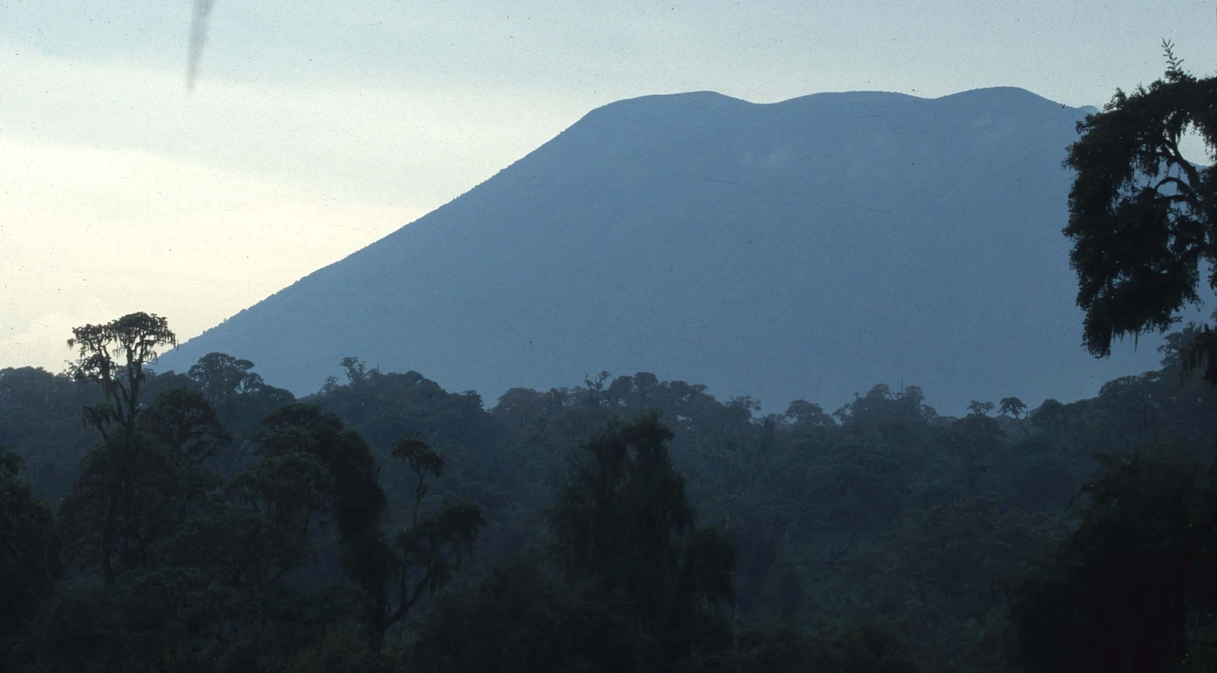 RWANDA - PARC DU VULCANS - MT VISOKE D.jpg