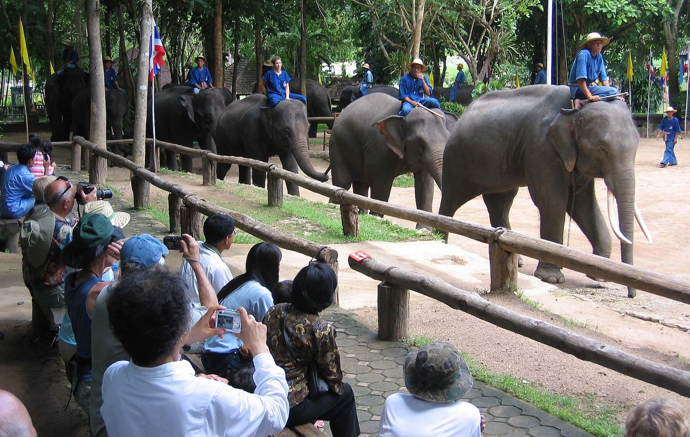 2008 Lampang City & Elephant Center (132).jpg