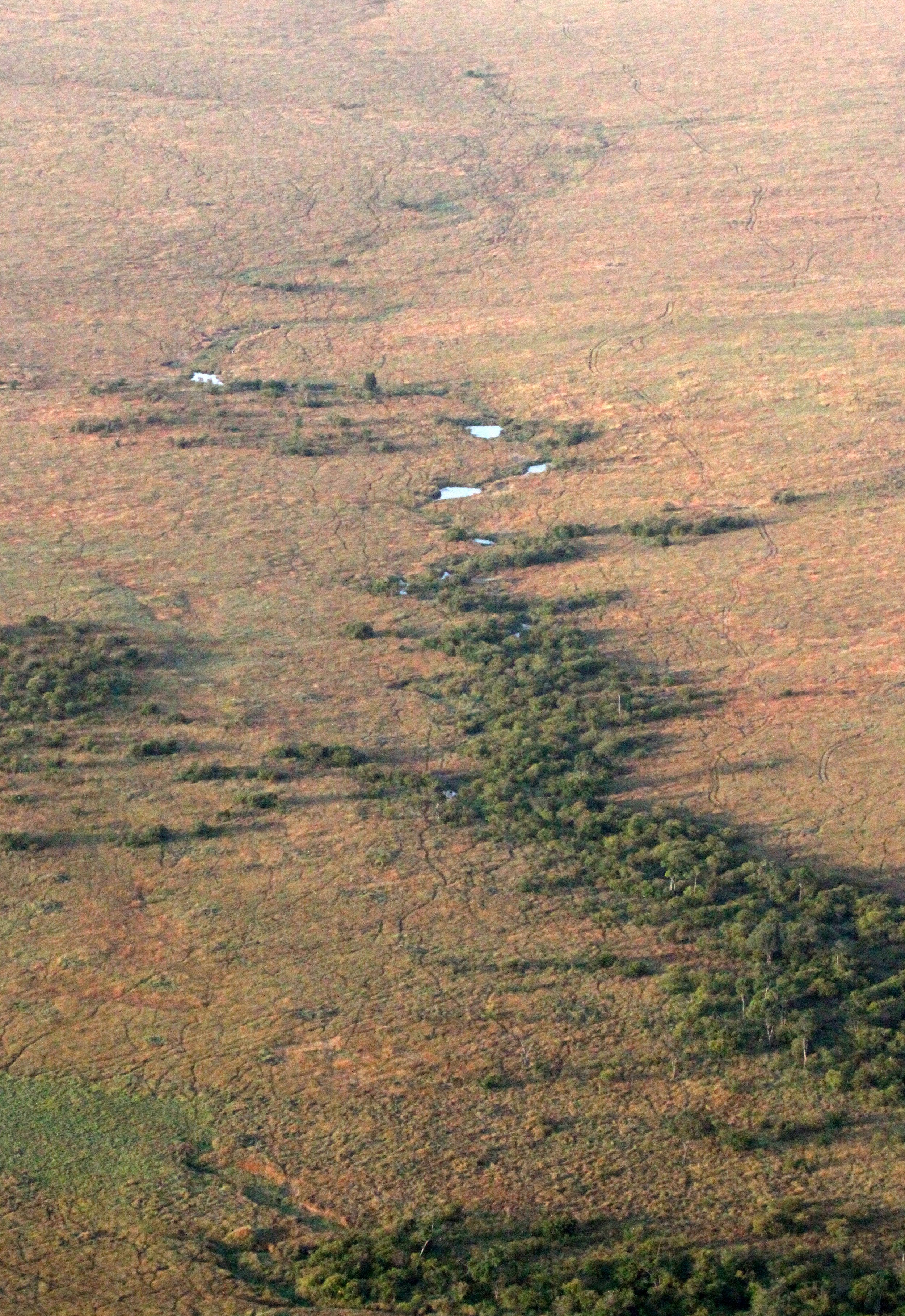 MASAI MARA NATIONAL PARK KENYA (214).JPG