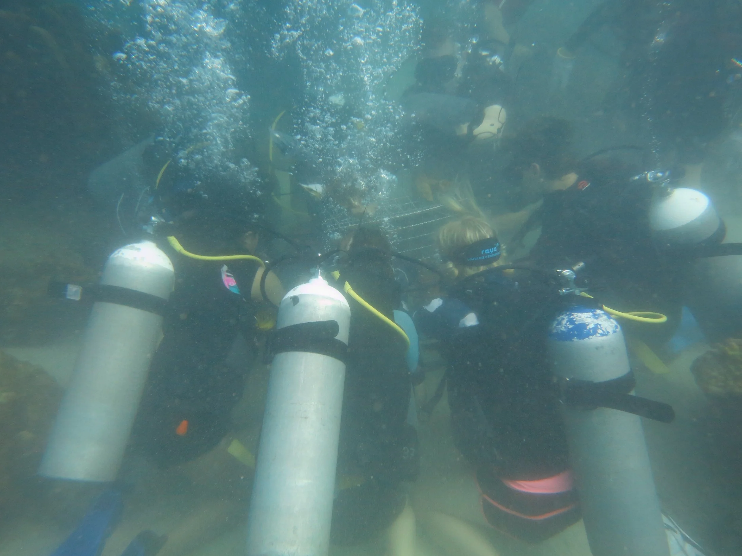 2016 BPS Satthahip Dive Trip with Marine Conservation Club (29).JPG