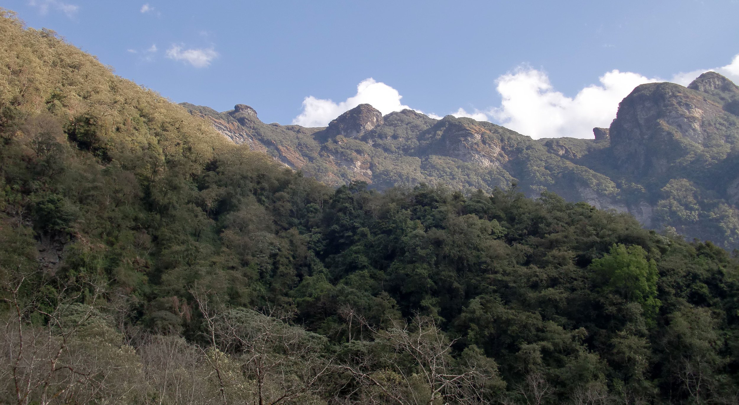 YUNNAN - WULIANGSHAN NATURE RESERVE AND SURROUNDING MOUNTAINS (24).JPG