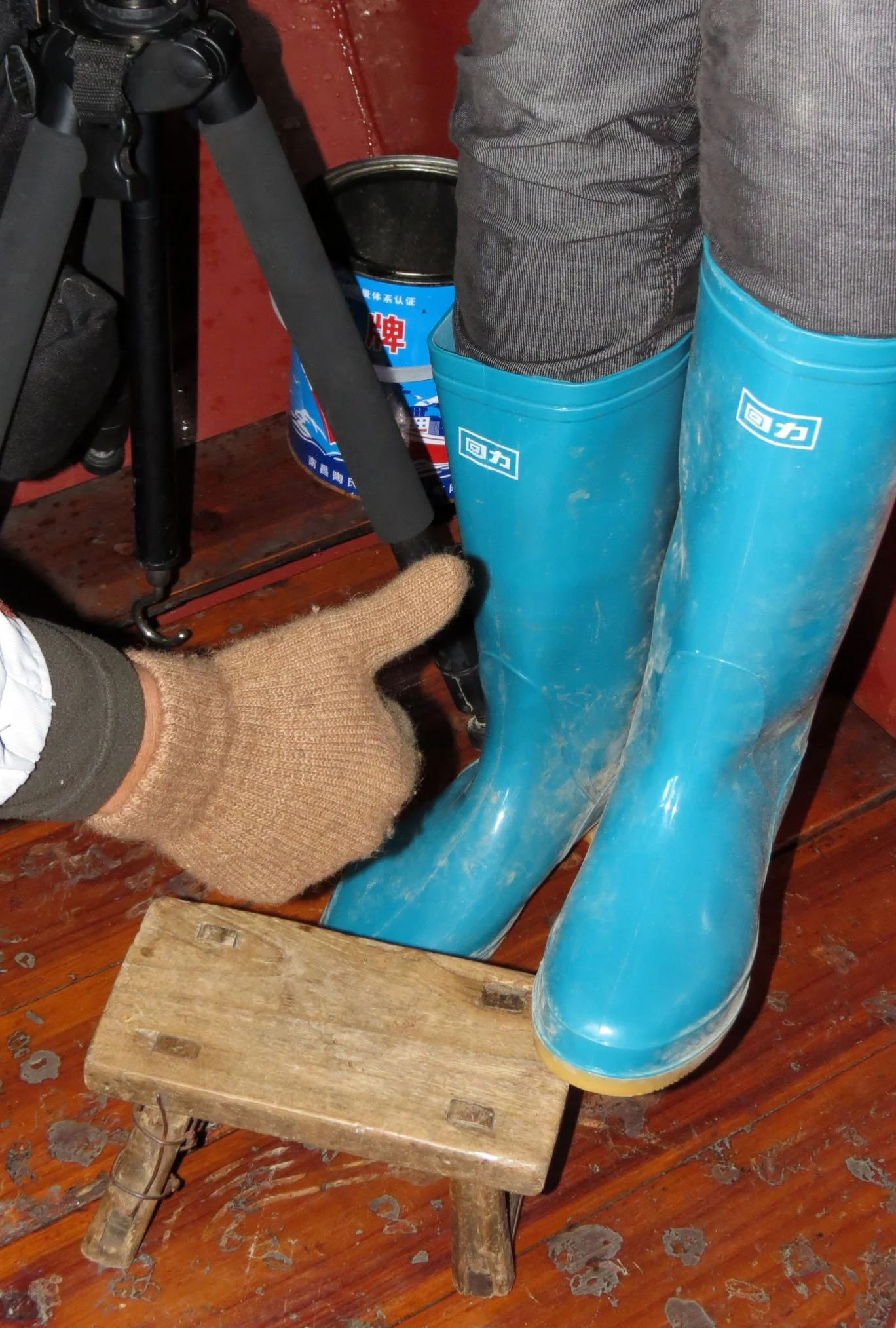 POYANG LAKE -CHINA - JIANGXI PROVINCE (4).JPG