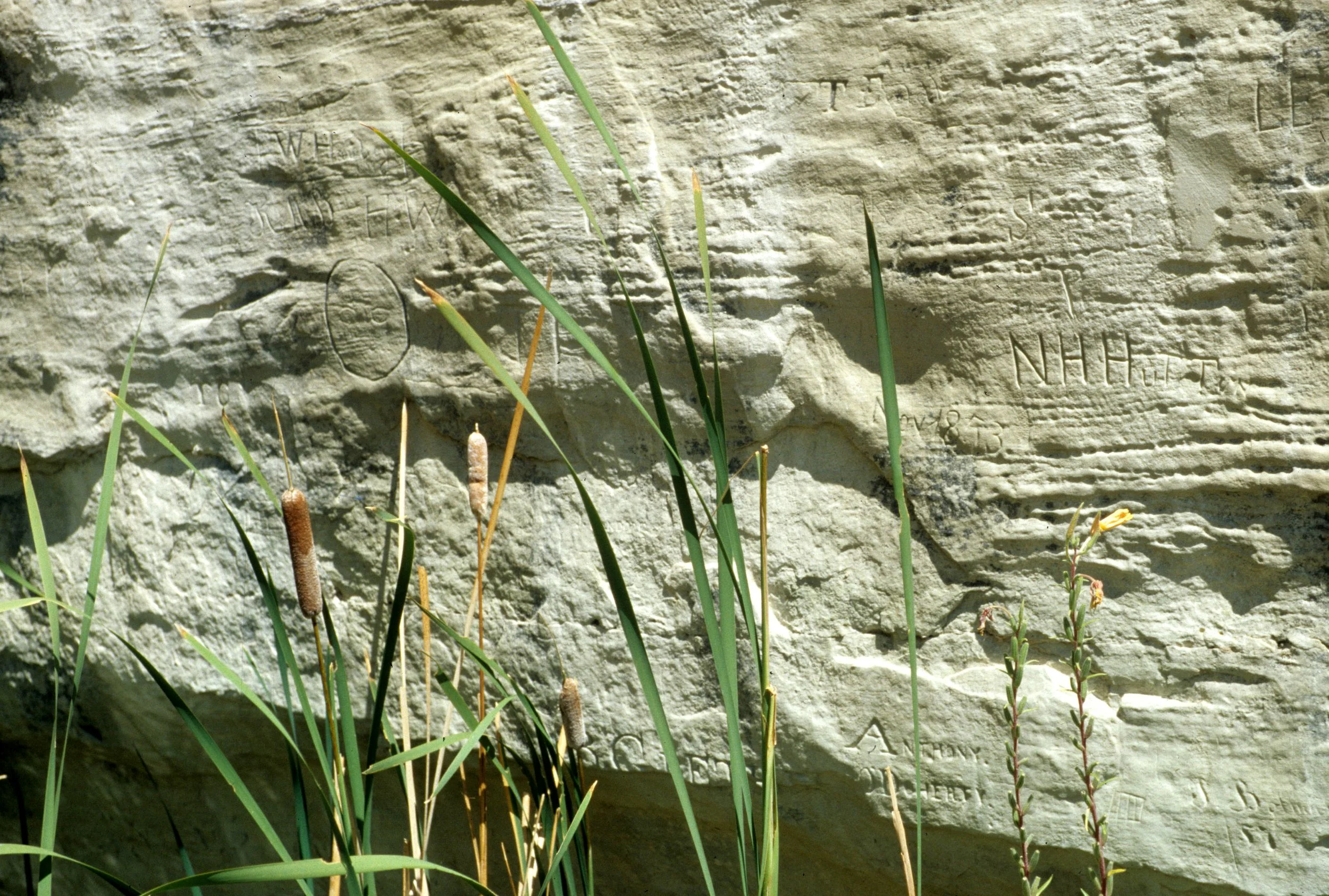 ANASAZILAND - EL MORRO NM J.jpg