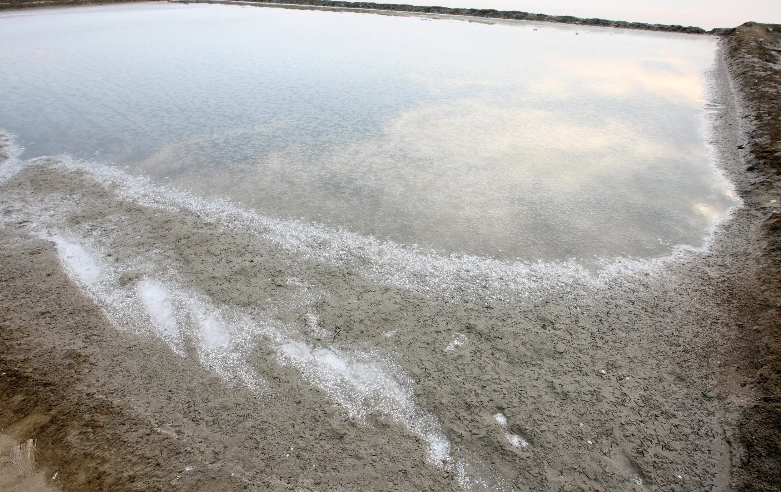2011 Pak Thale Salt Ponds (3).JPG