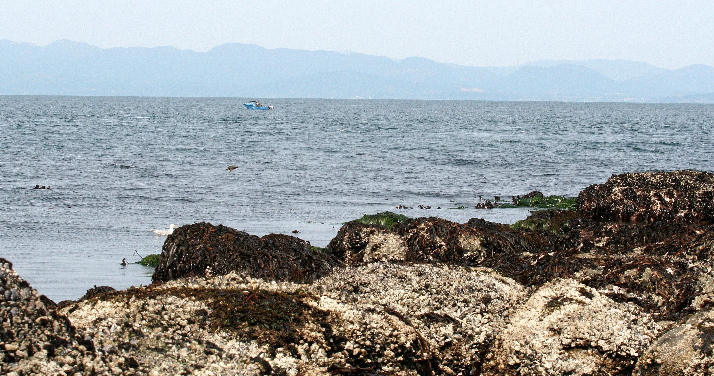 SALT CREEK - VIEWS OF AND FROM - SOM'S (2).JPG