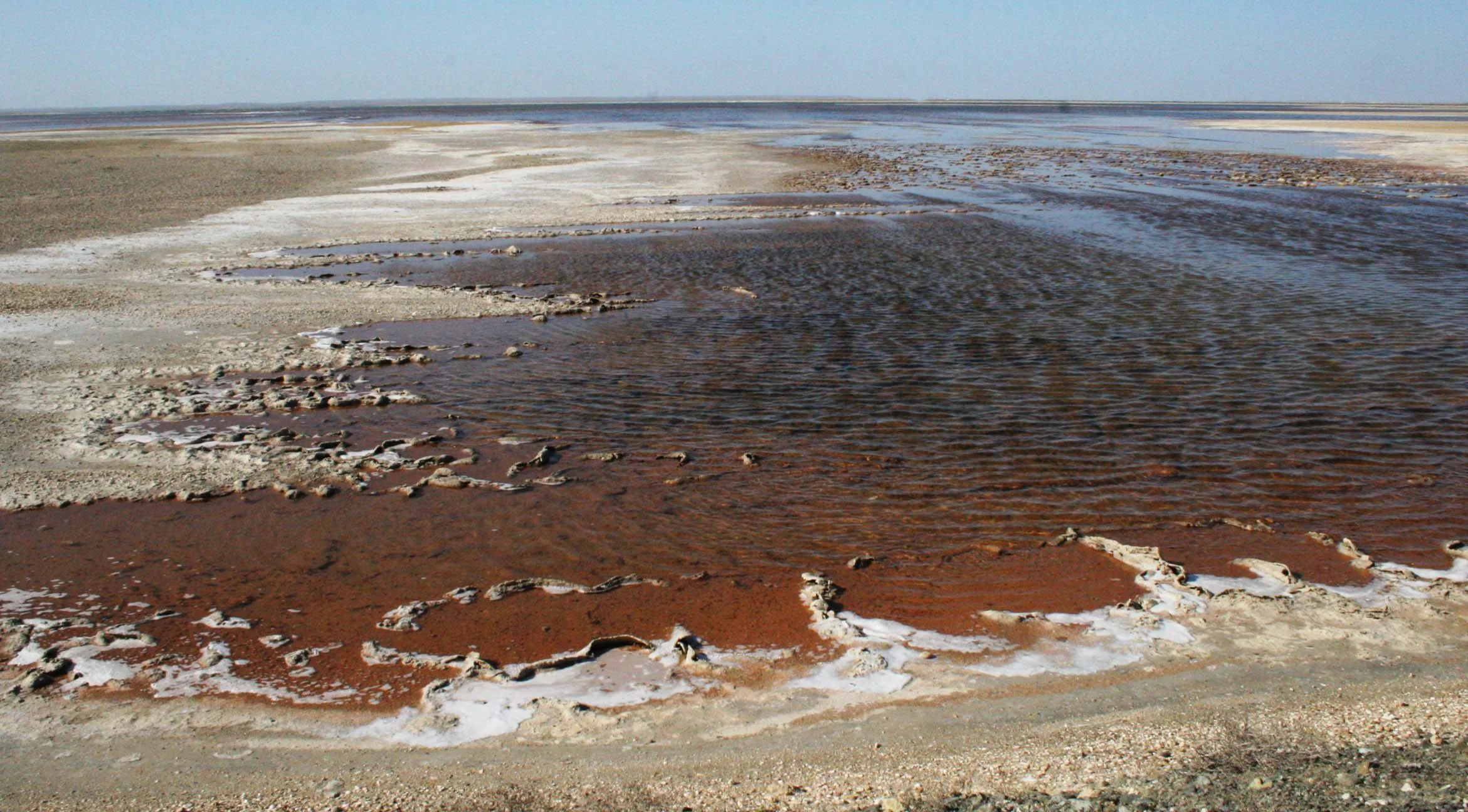 OJO DE LIEBRE LAGOON BAJA MEXICO - SALT POOLS (4).JPG