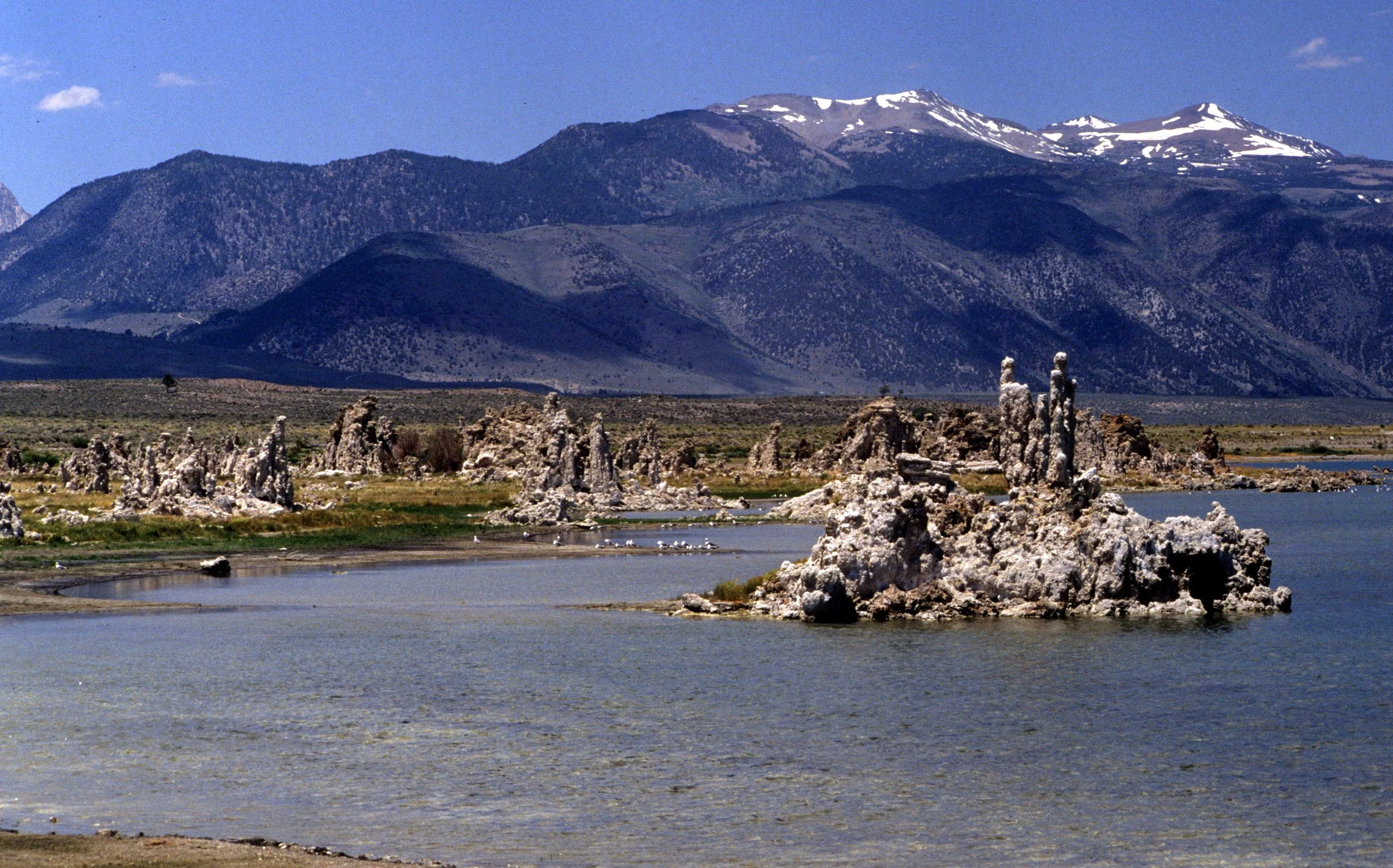 CALIFORNIA - MONO LAKE - TUFA FORMATIONS (3).jpg