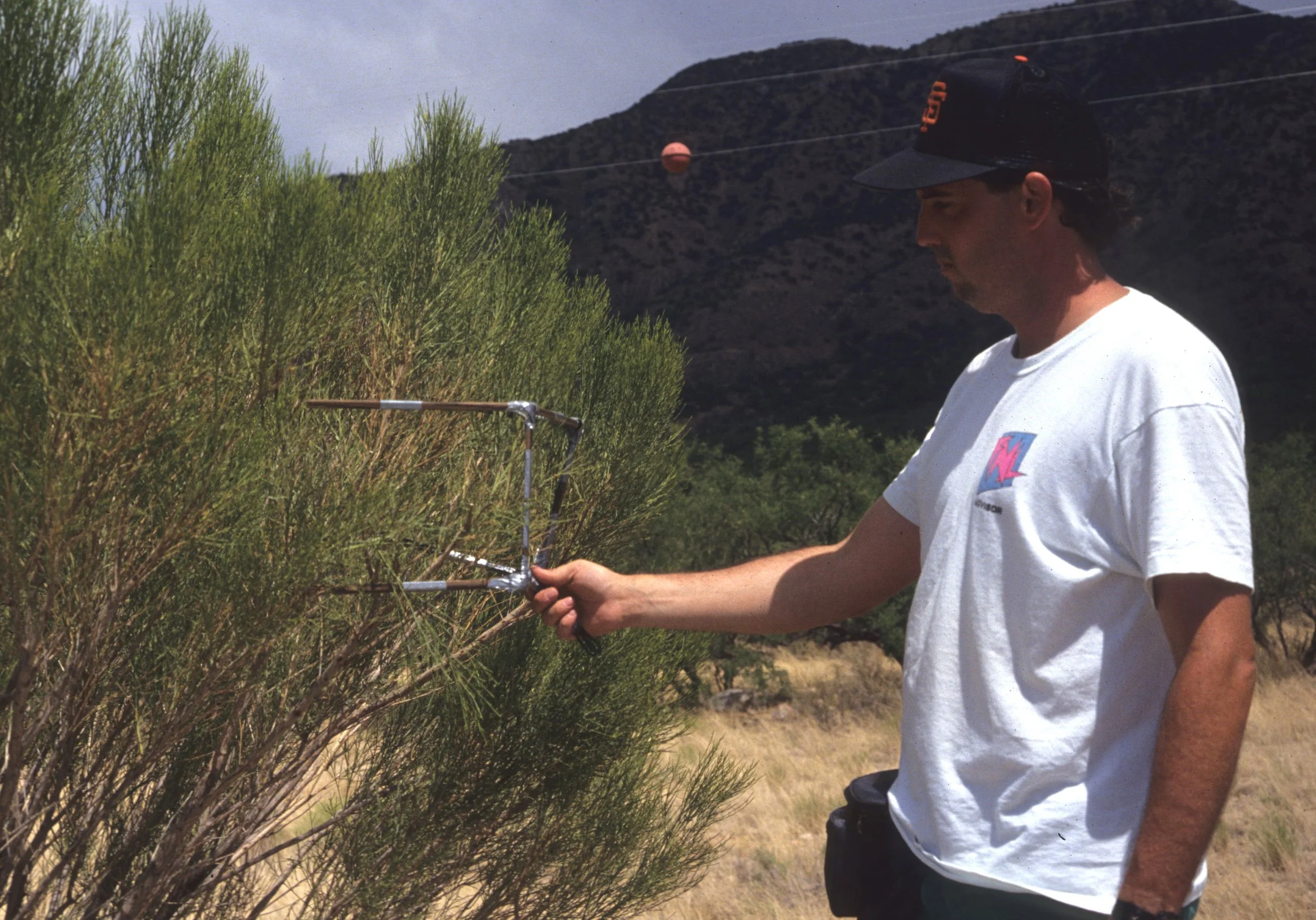 ARIZONA - MADERA CANYON - RESEARCH - DATA COLLECTION G.jpg