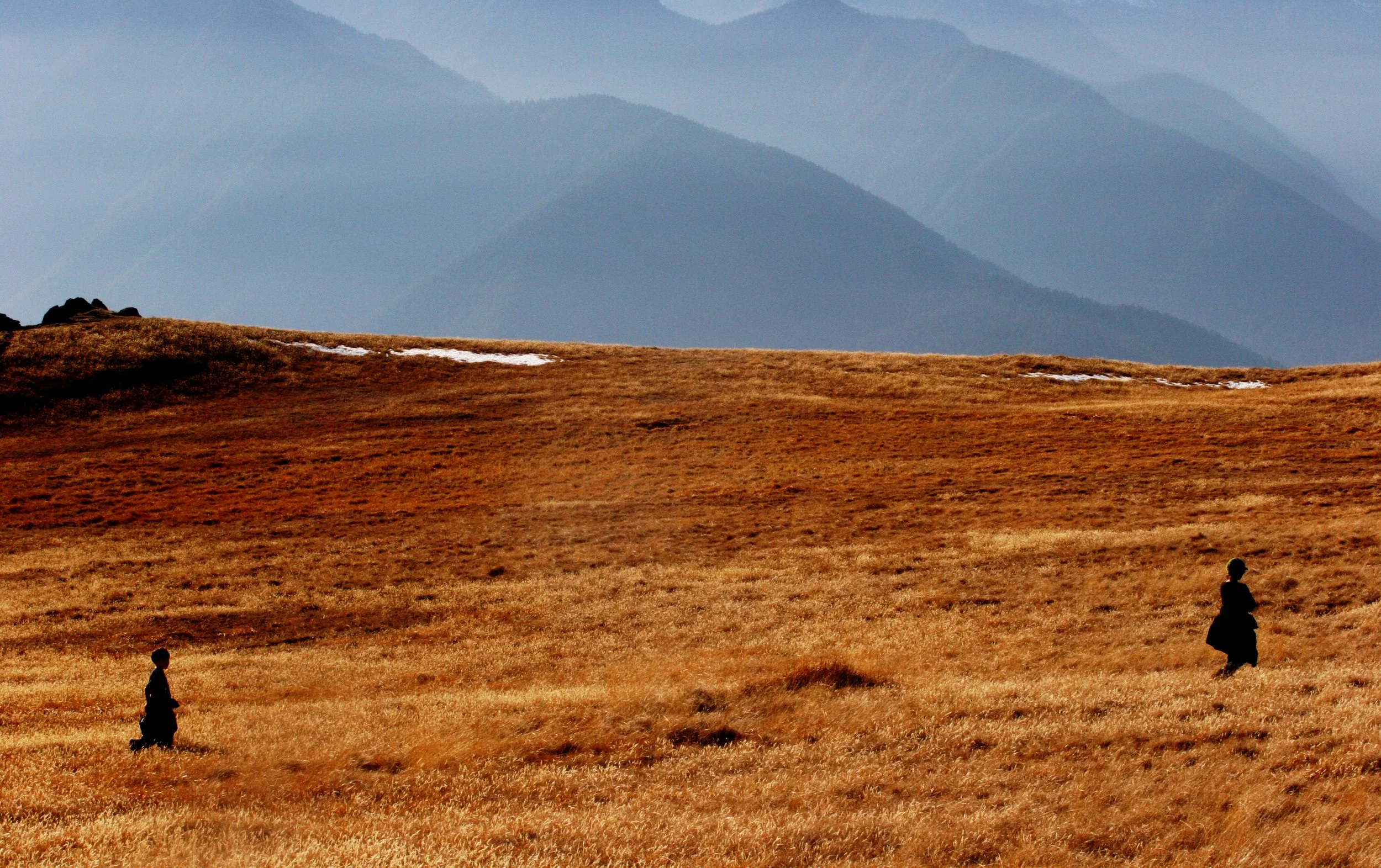 2008-10-25 DAY ON HURRICANE RIDGE (5).JPG