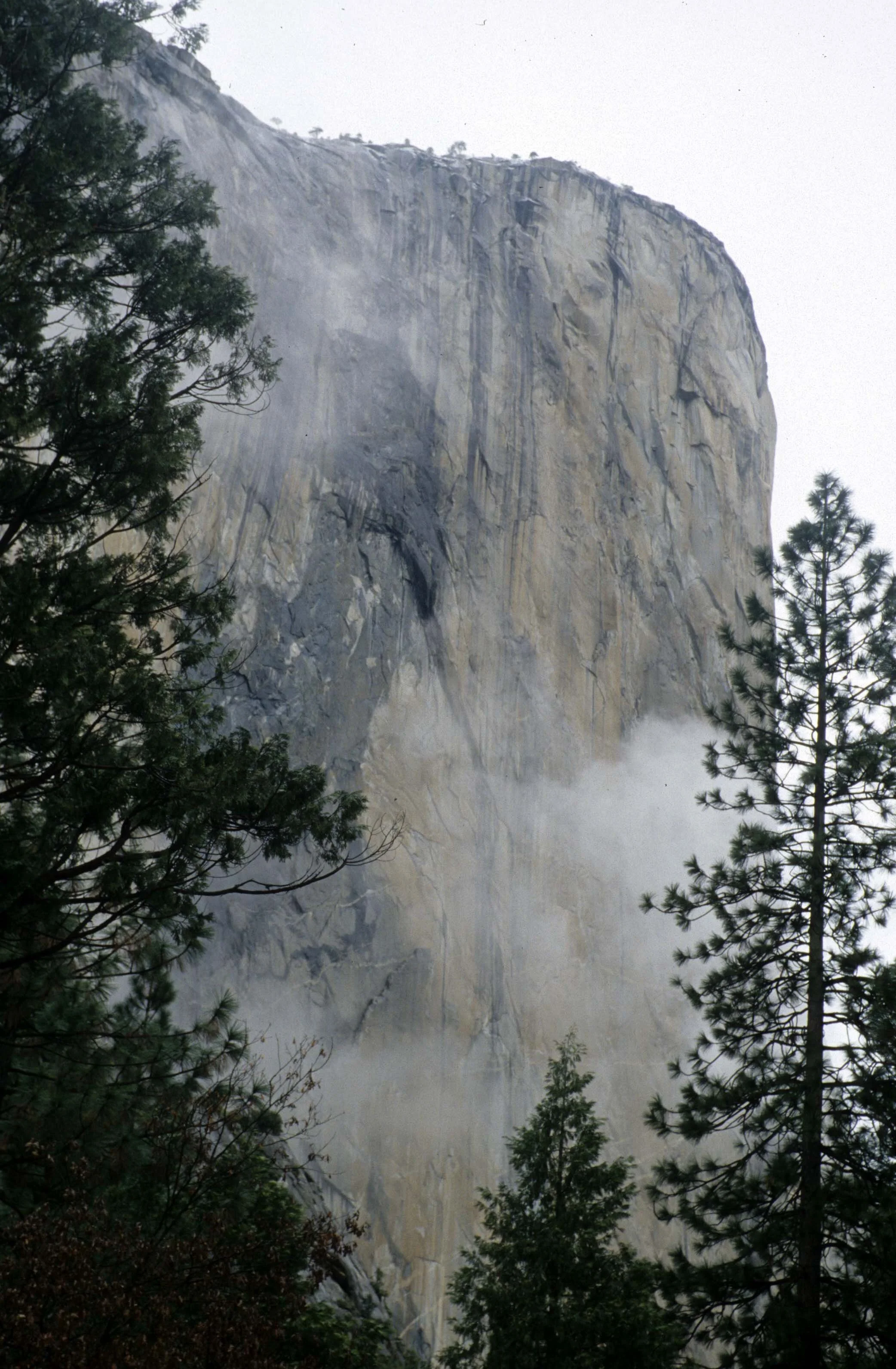 CALIFORNIA - YOSEMITE NATIONAL PARK (14).jpg