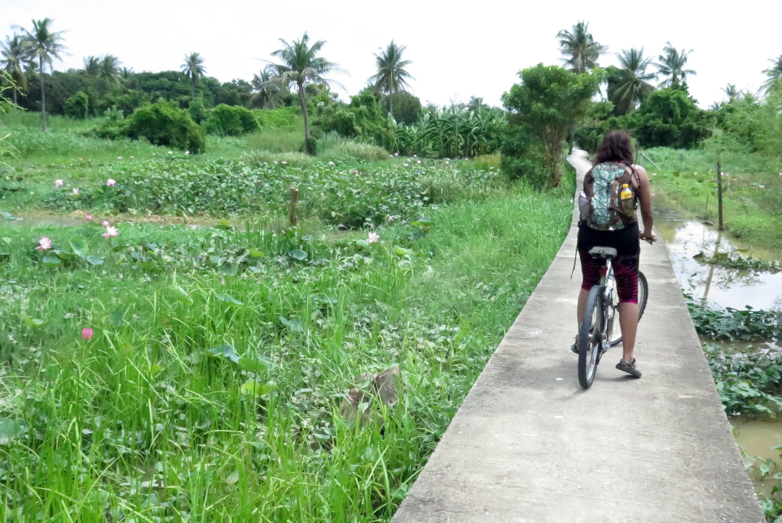 2014 Koh Kret Nonthaburi Bike Ride (46).JPG
