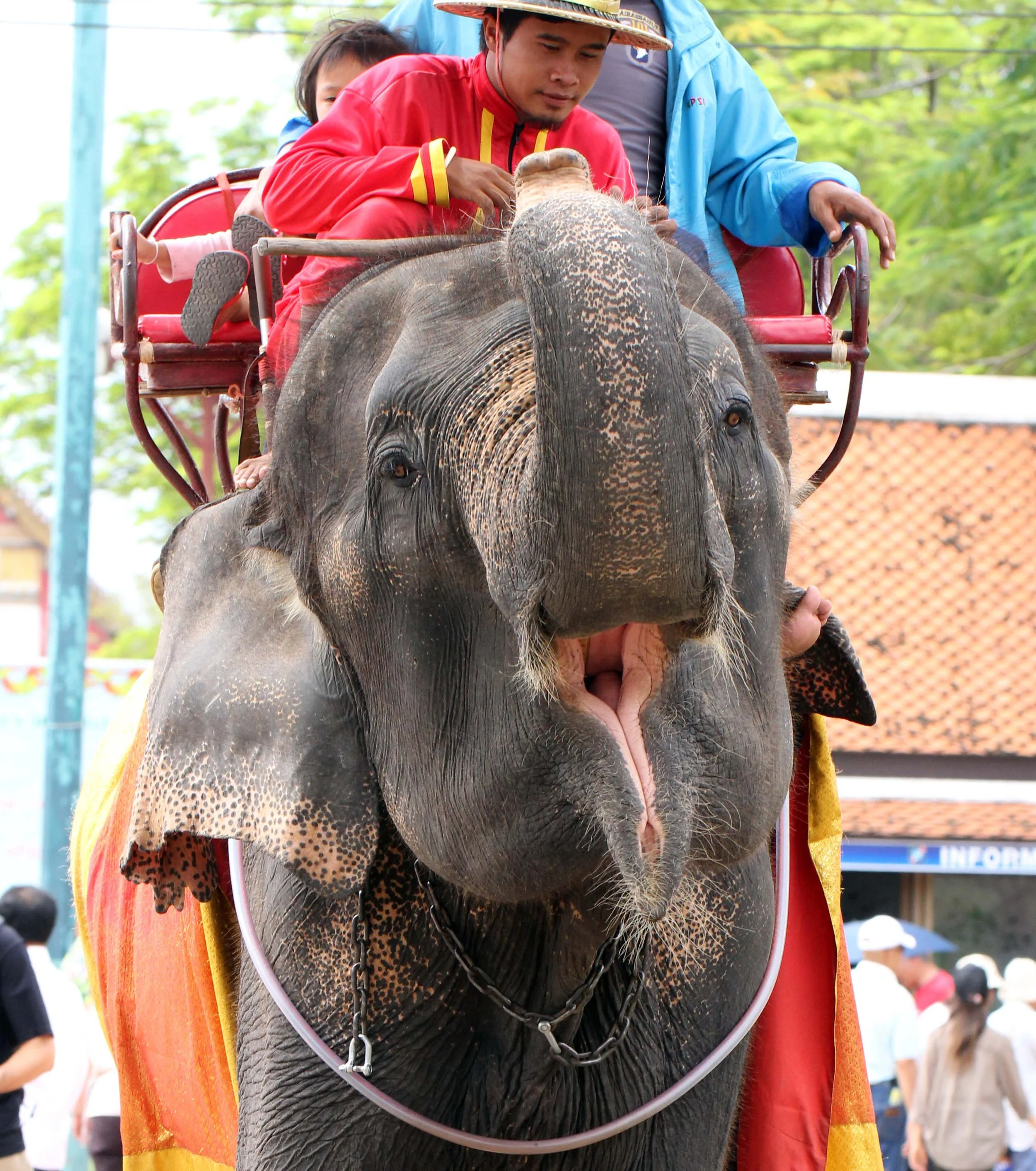 2013 Ayutthaya ISB Passion Day (27).JPG