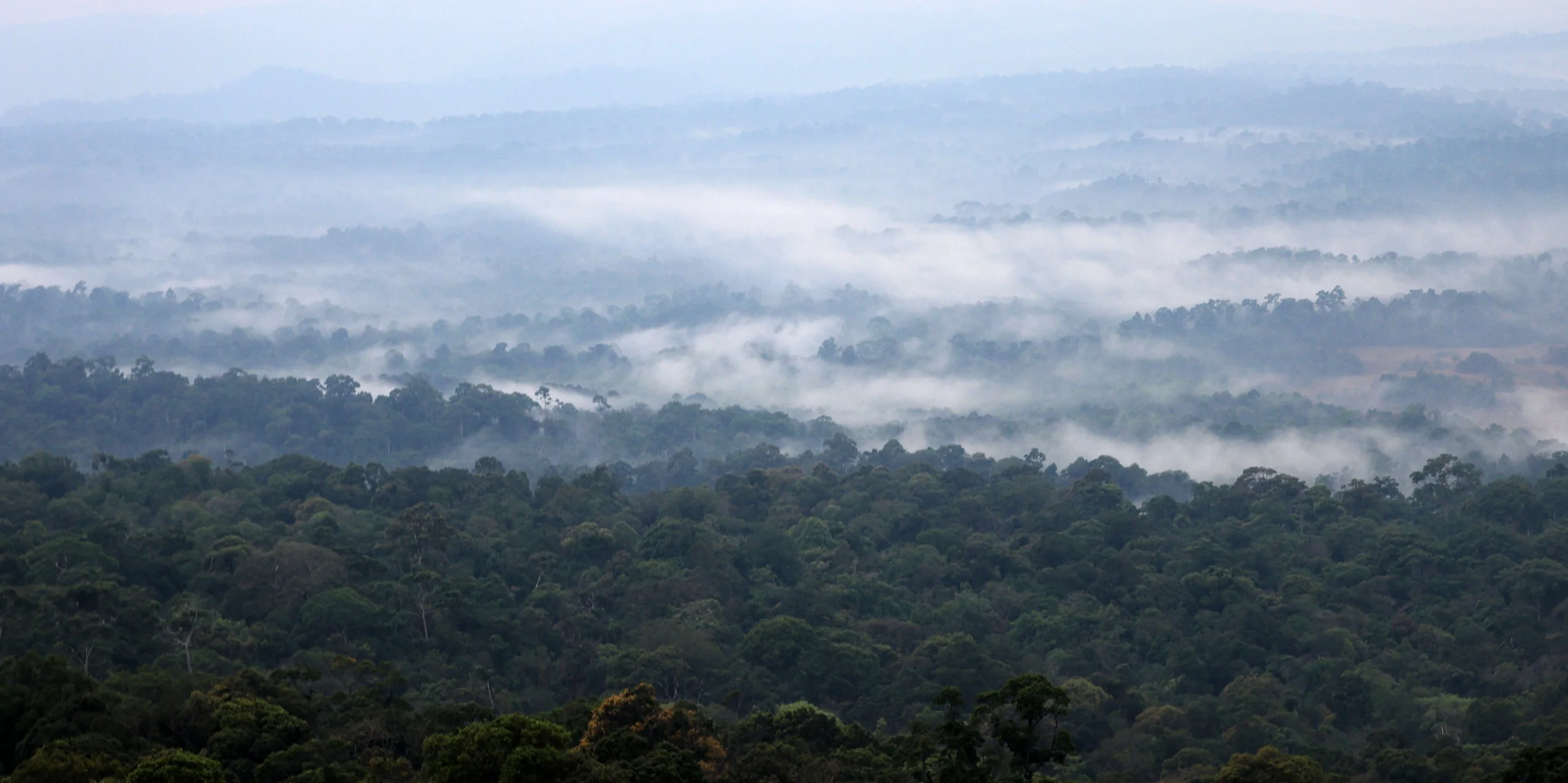 Khao Yai National Park Feb 2026 Day 2 (386).jpg