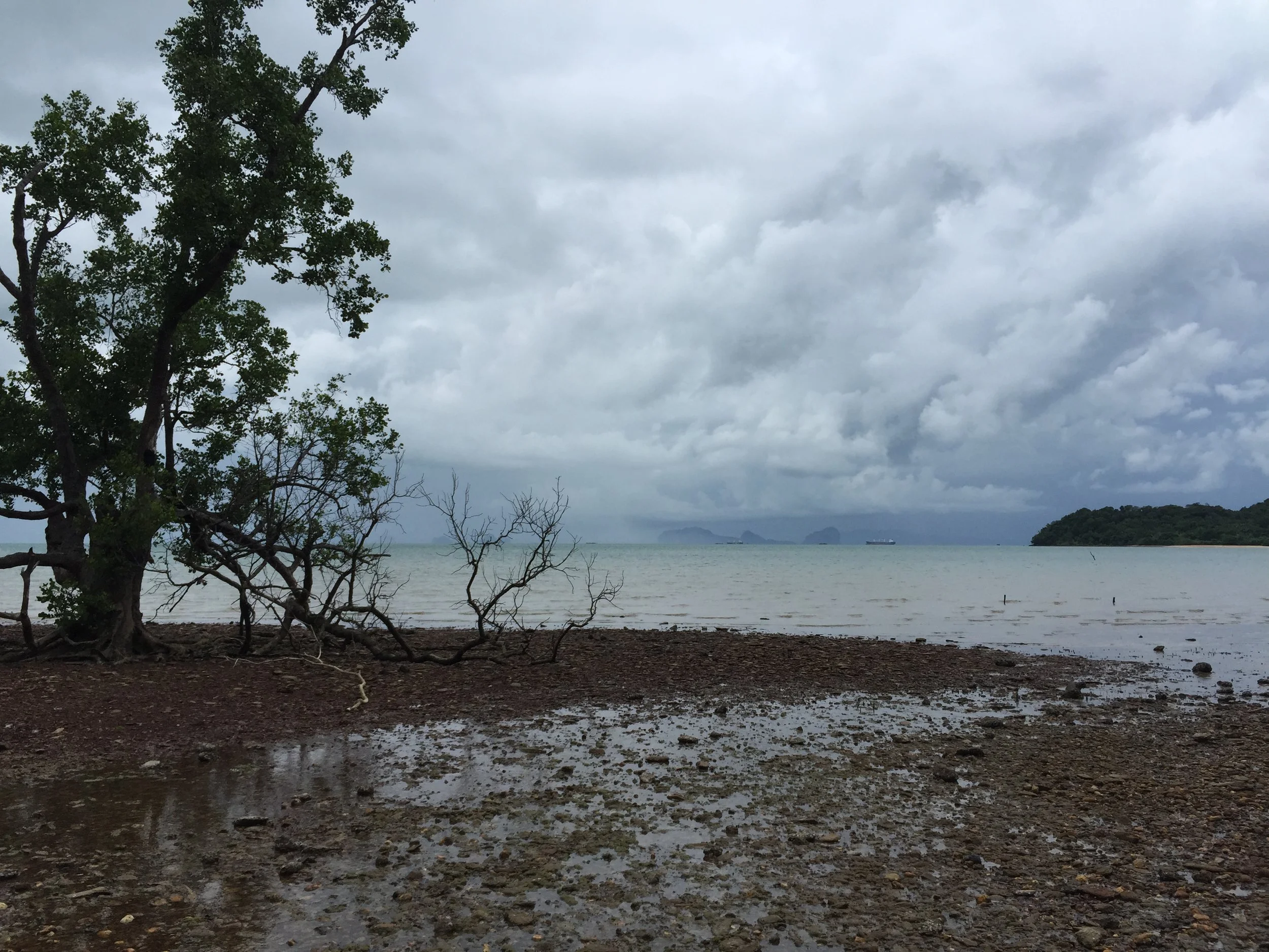 2015 Koh Lanta Garden & Nature (206).JPG