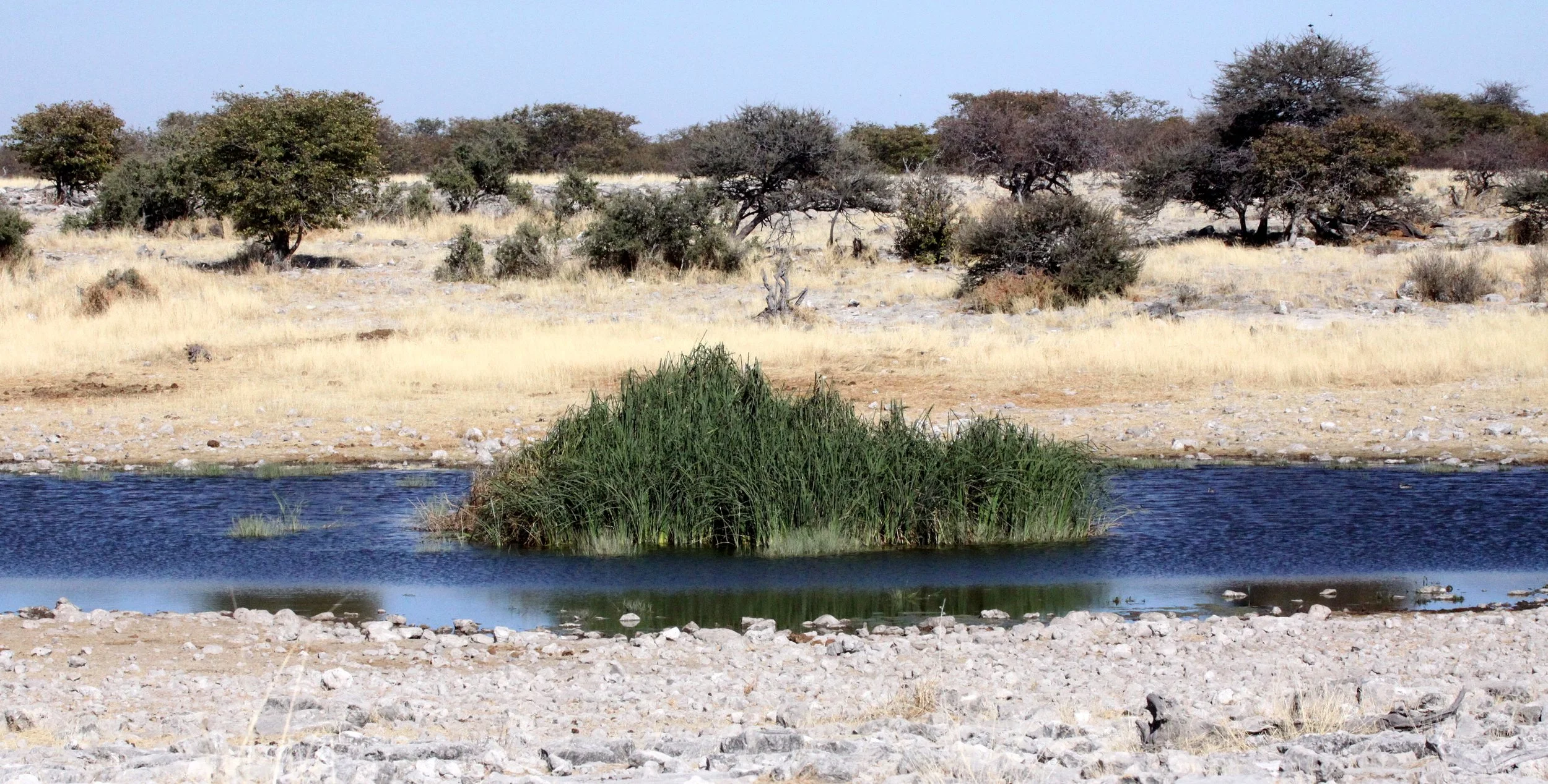 ETOSHA NATIONAL PARK NAMIBIA - WATERHOLE.JPG