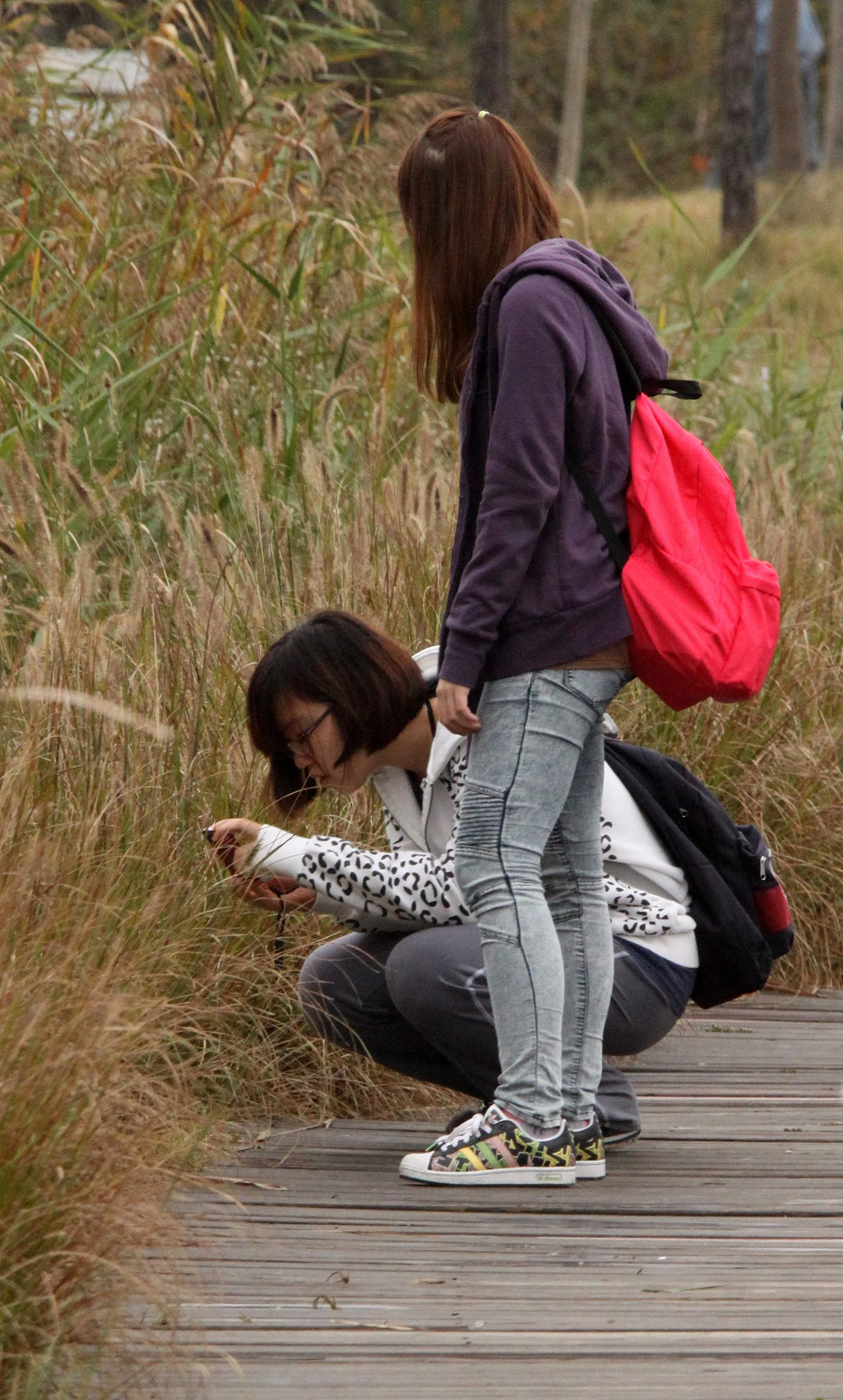 CHONGMING ISLAND DONGTAN WETLANDS RESERVE FIELD TRIP 2011 (31).JPG