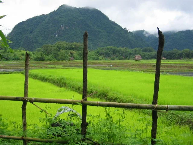 Northern Thailand Landscapes & Views