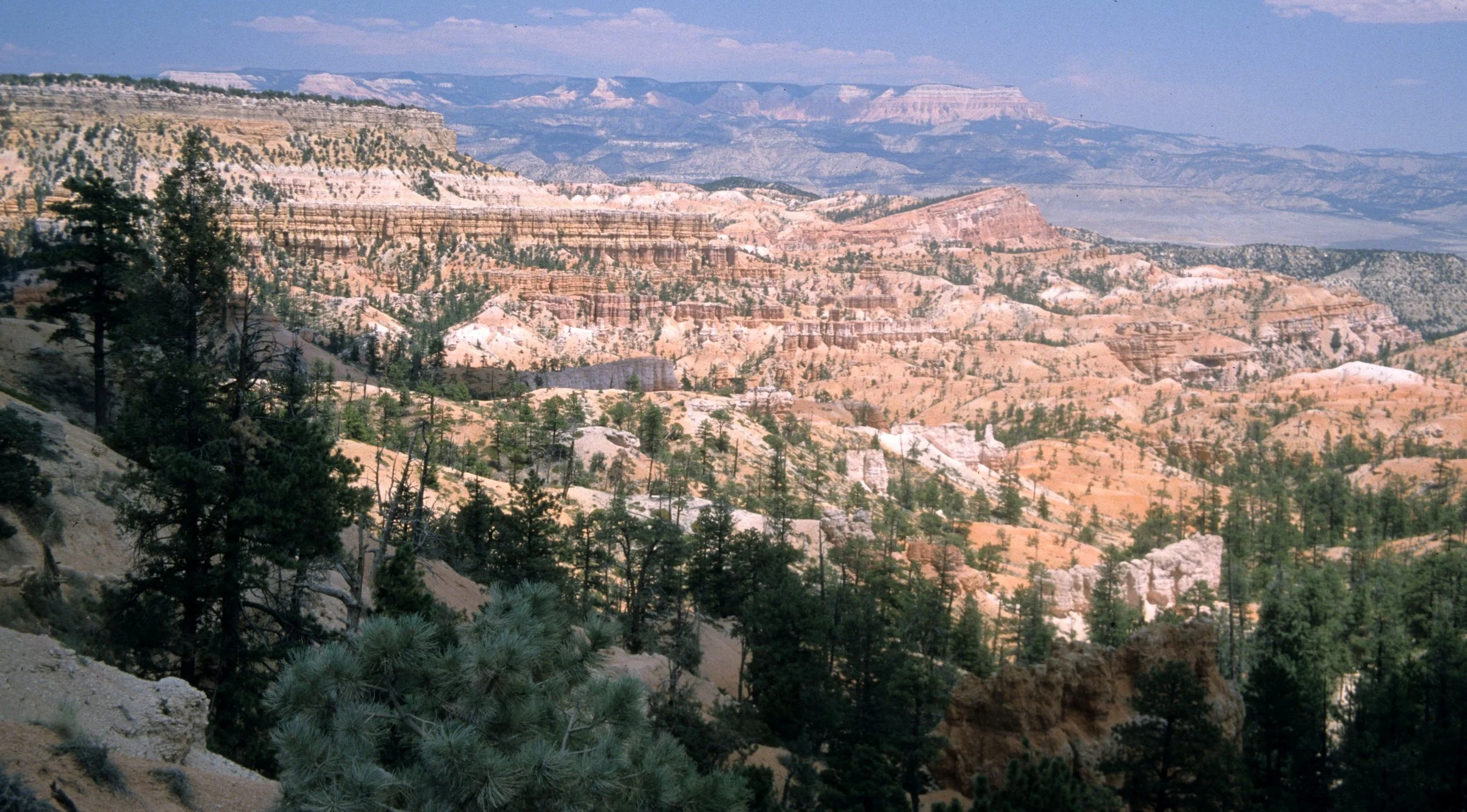 UTAH - BRYCE CANYON C.jpg