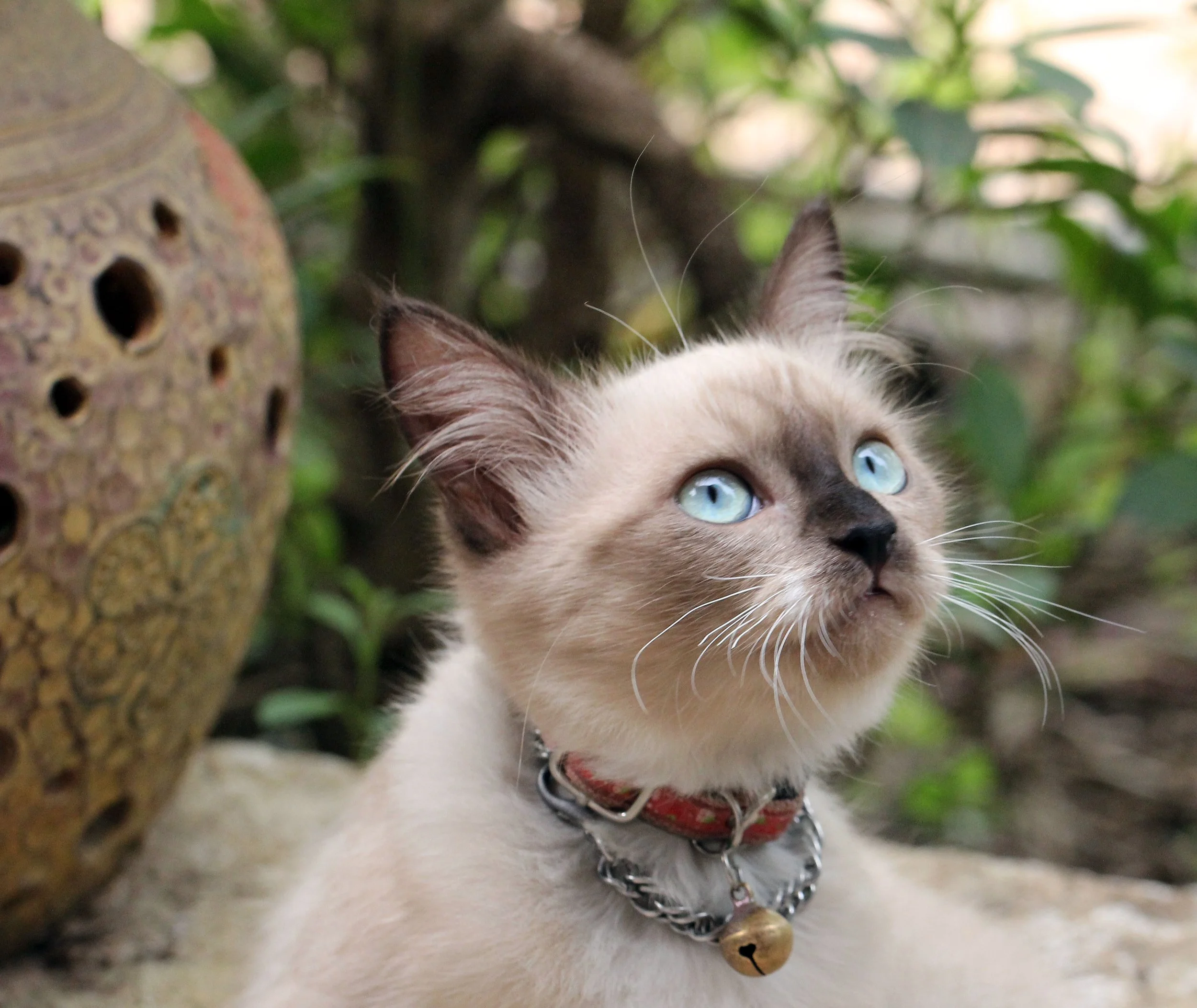 2015 Koh Lanta October Break Trip  (181).JPG