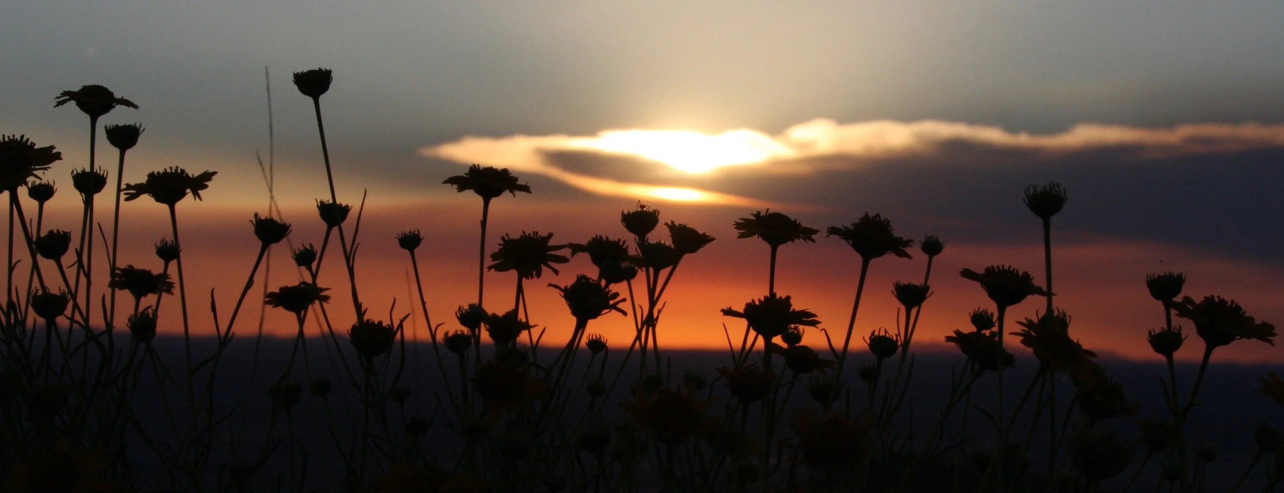 FRANKLIN MOUNTAIN STATE PARK TEXAS.JPG
