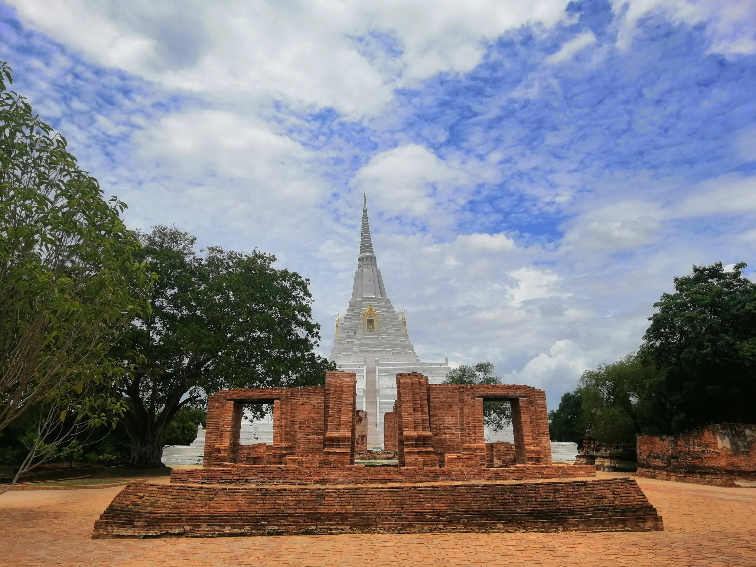 2019 Ayutthaya Wat Phukhao Thong Summer Road Trip (11).jpg