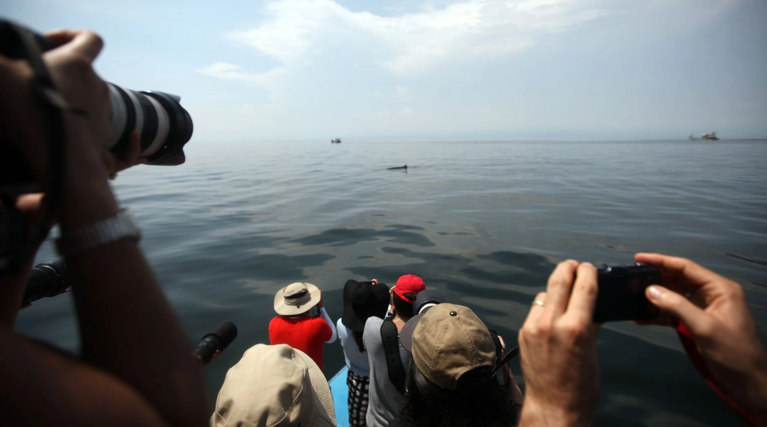 2014 Amphawa Trip to See Whales from Baan Taboon (47).JPG