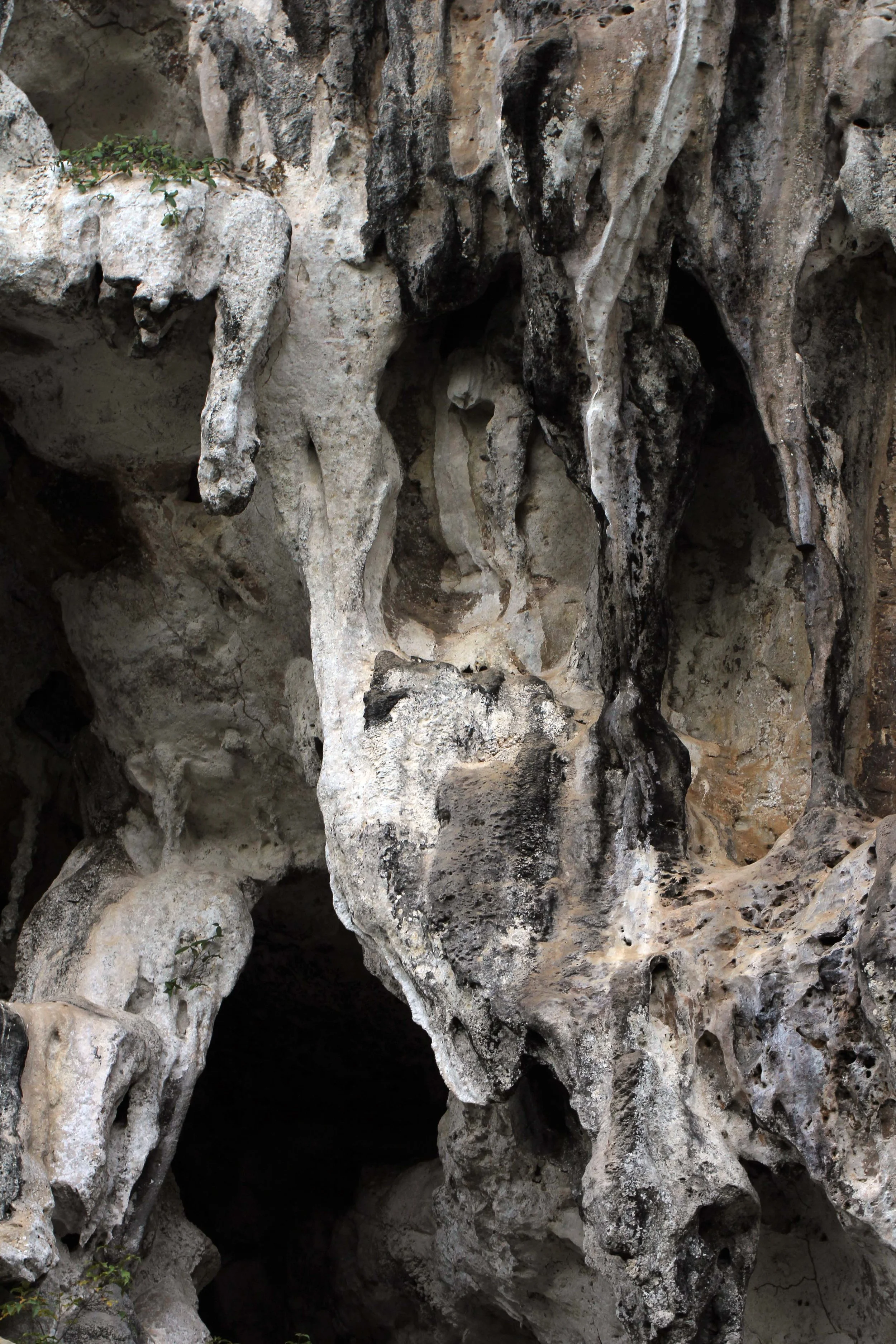 2014 ISB Trip to Khao Sok National Park Karos Island Ao Luek (27).JPG