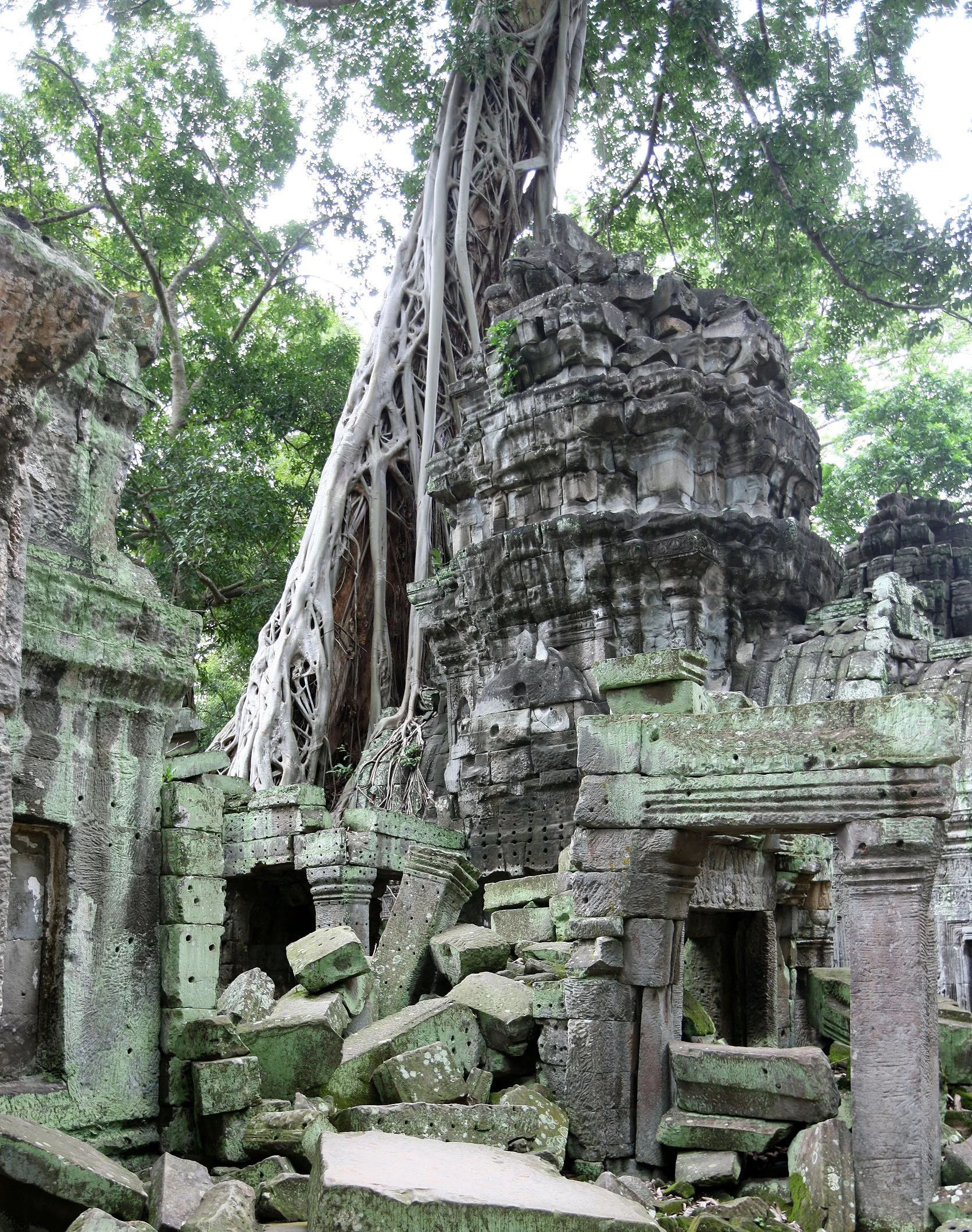 TA PROHM TEMPLE CAMBODIA - JULY 2010 (32).JPG