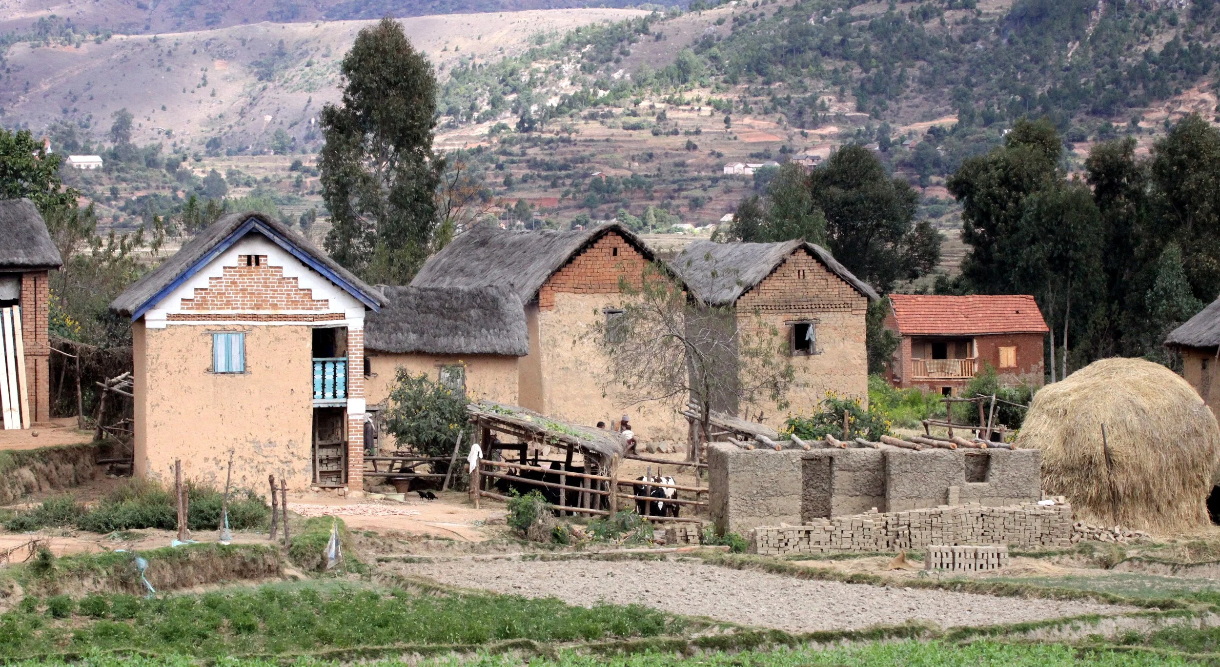 CENTRAL HIGHLANDS - ROAD TO RANOMAFANA (52).JPG