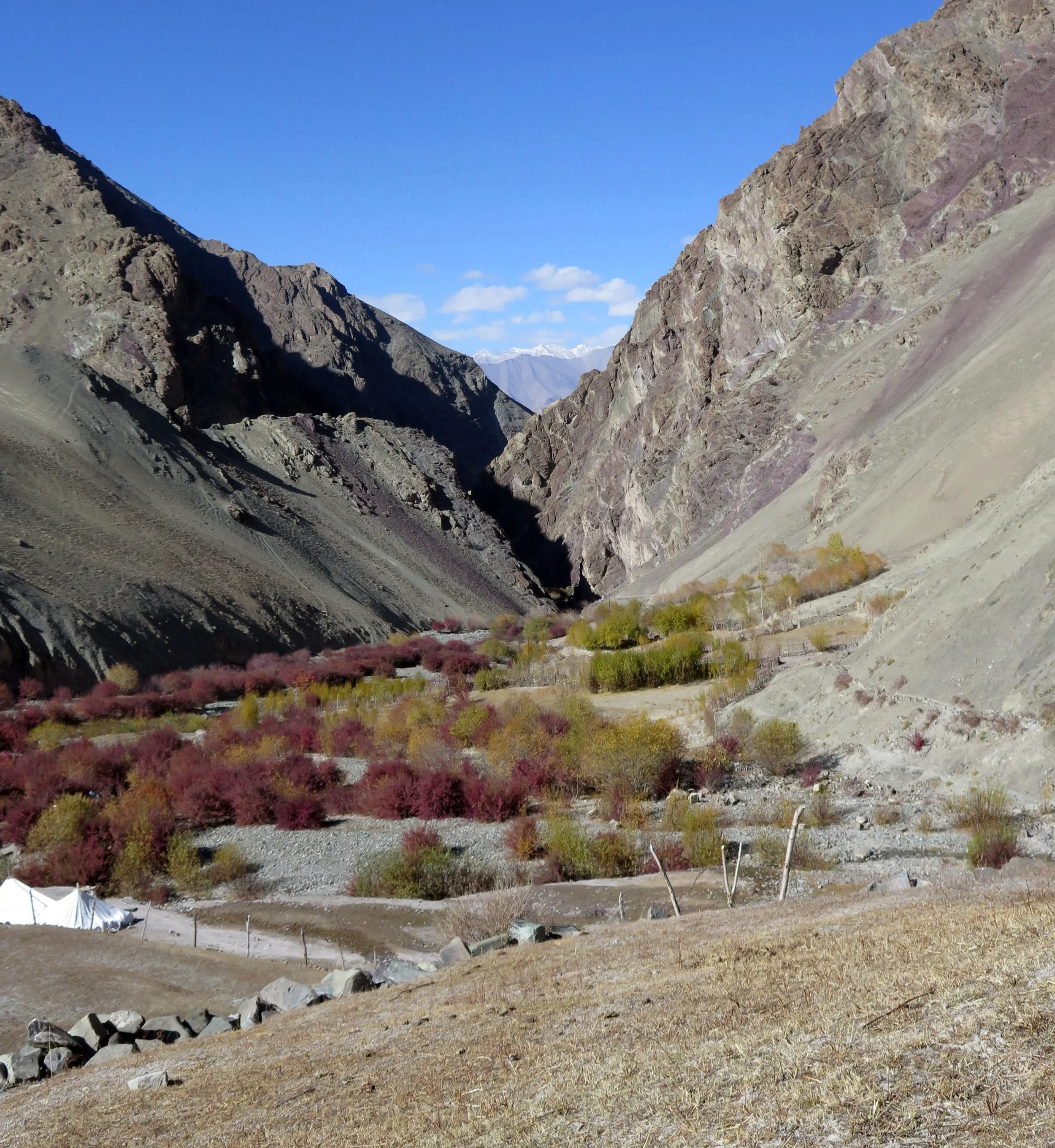 HEMIS NATIONAL PARK - LADAKH INDIA - JAMMU & KASHMIR NEAR RUMBAK VILLAGE (596).JPG