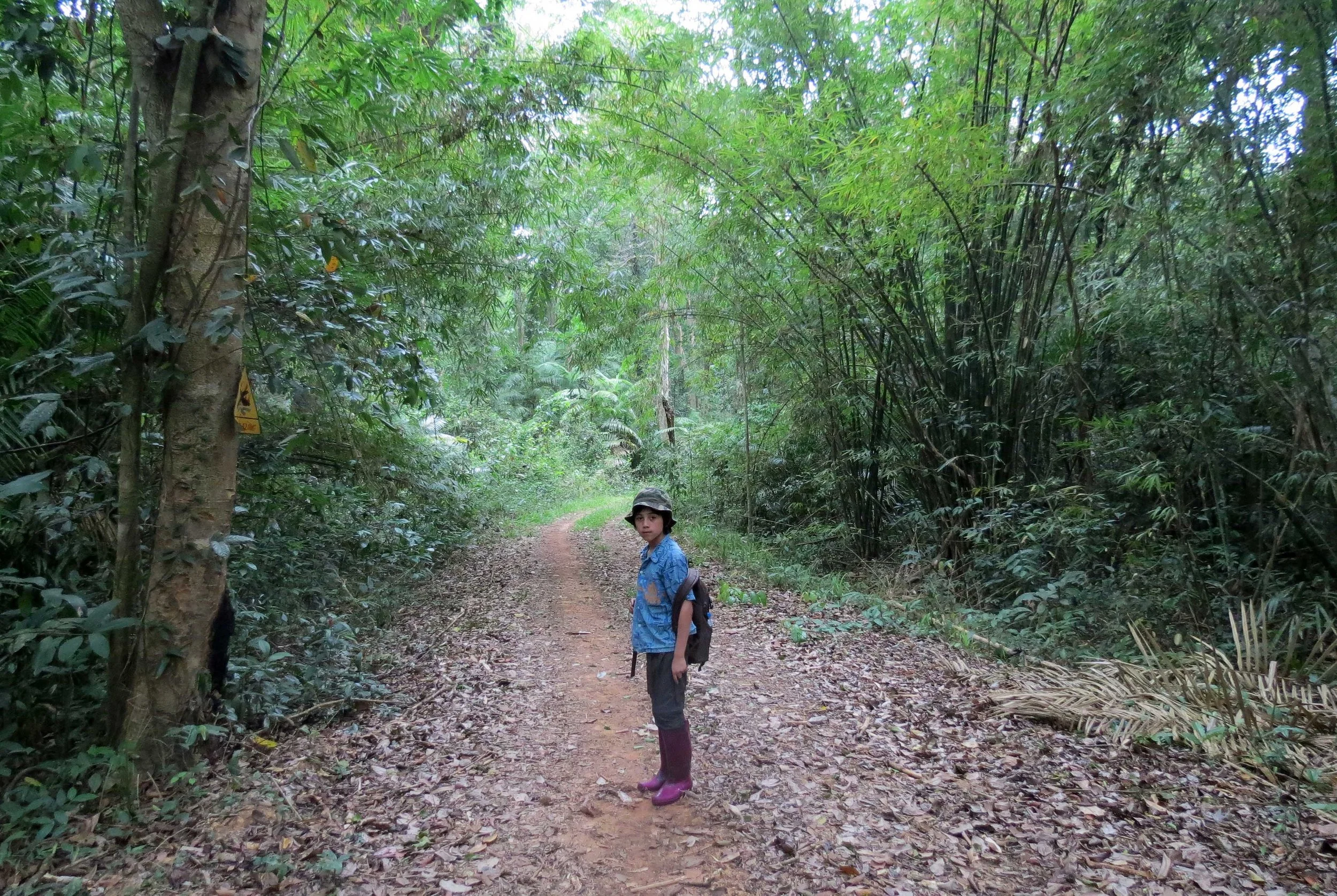 CAT TIEN NATIONAL PARK VIET NAM (96).JPG