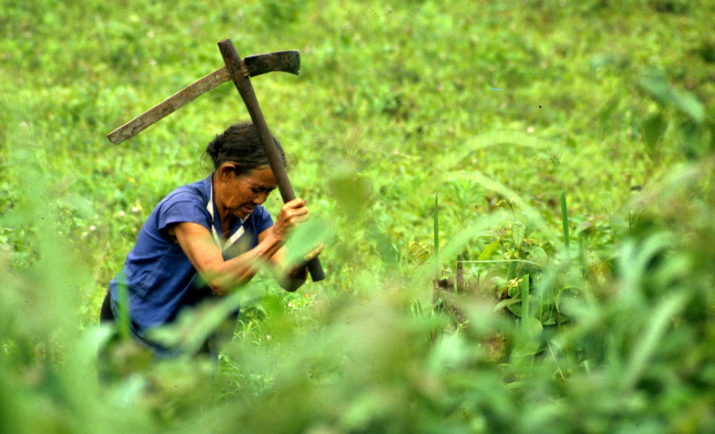 HILL TRIBE - ADAY LADY WORKING.jpg